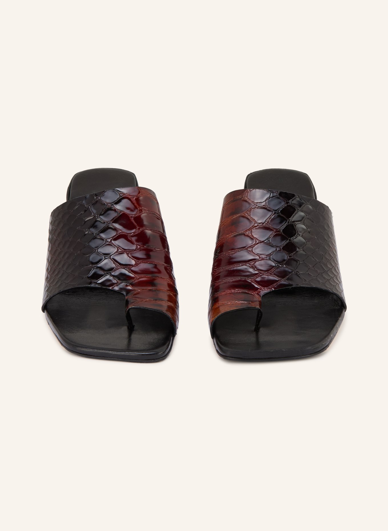 MIISTA GAELLE toe separators: BROWN / BLACK