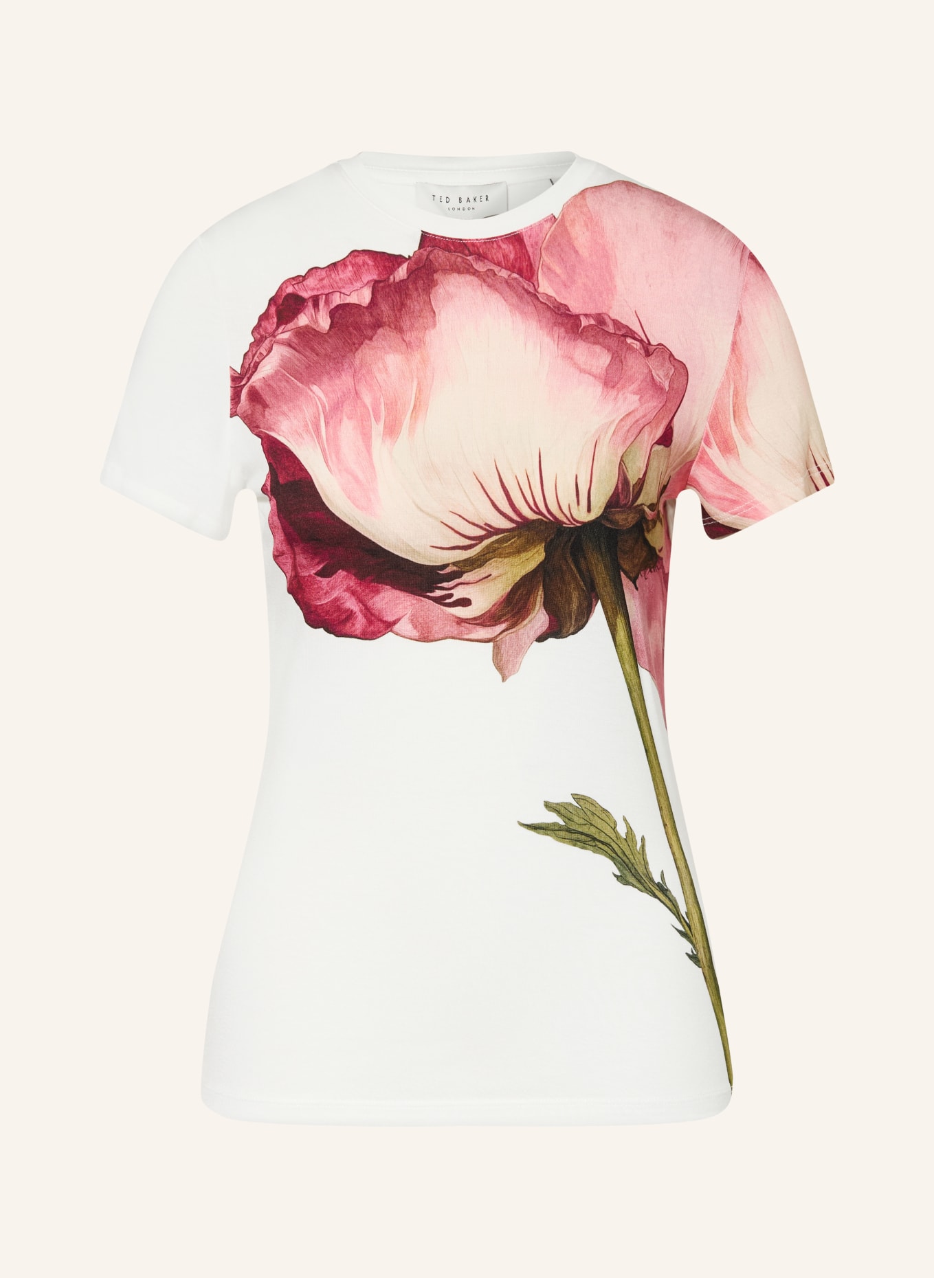 TED BAKER T-Shirt OBREY: CREME / DUNKELROT / OLIV