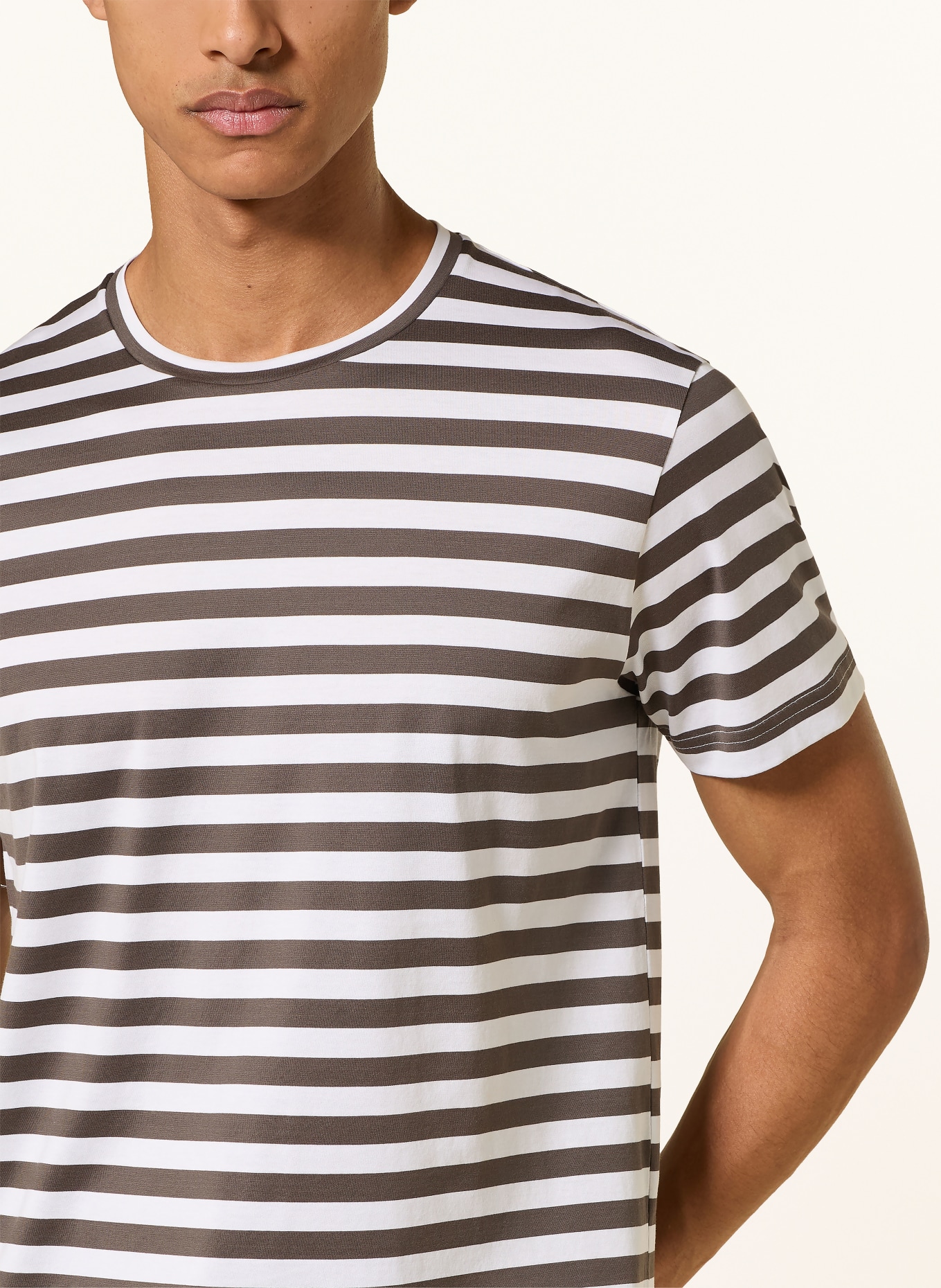 Stefan Brandt Koszulka ENNO: CZIEMNOSZARY / BIAŁY