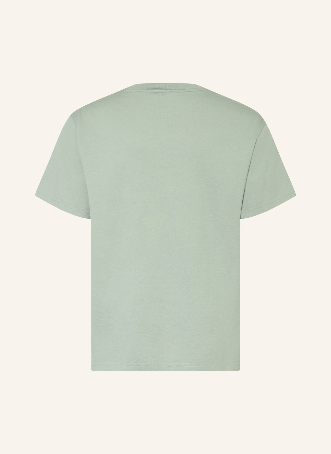 DOLCE & GABBANA T-shirt: LIGHT GREEN