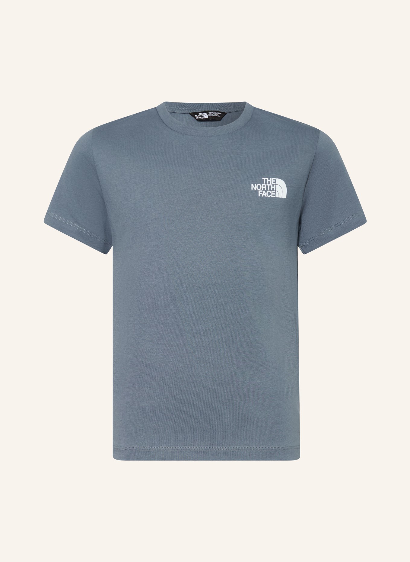 THE NORTH FACE T-Shirt: BLAUGRAU