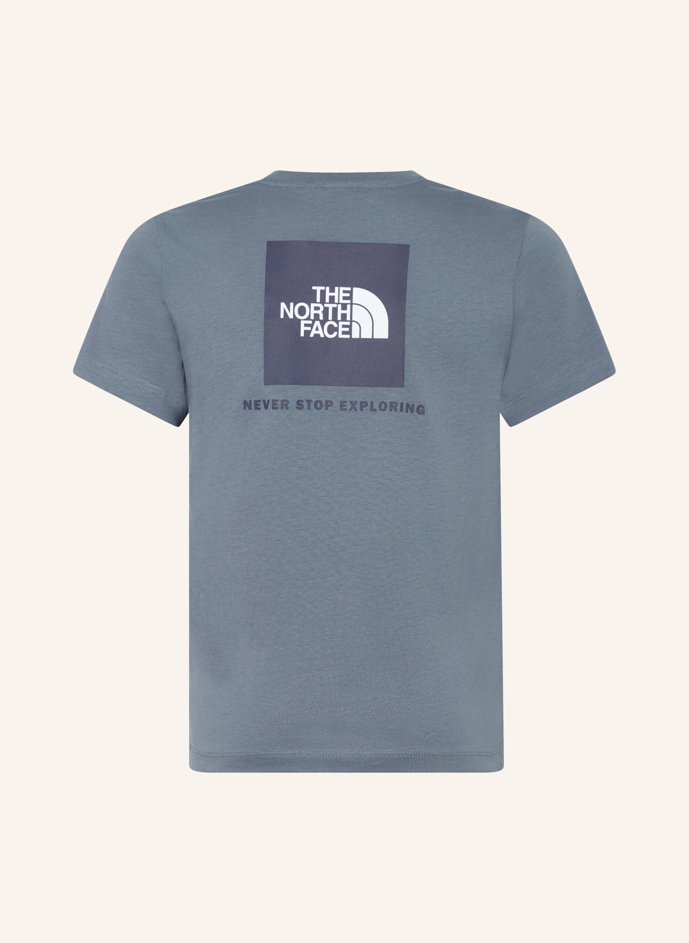 THE NORTH FACE T-Shirt: BLAUGRAU