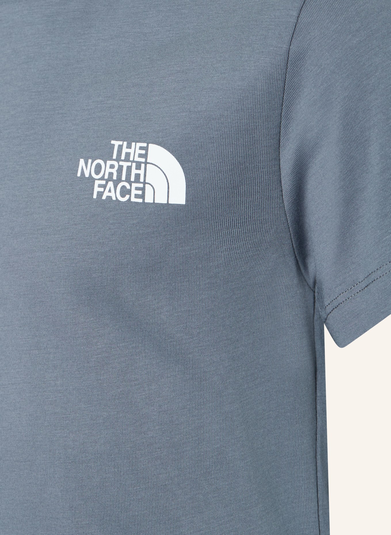 THE NORTH FACE T-Shirt: BLAUGRAU