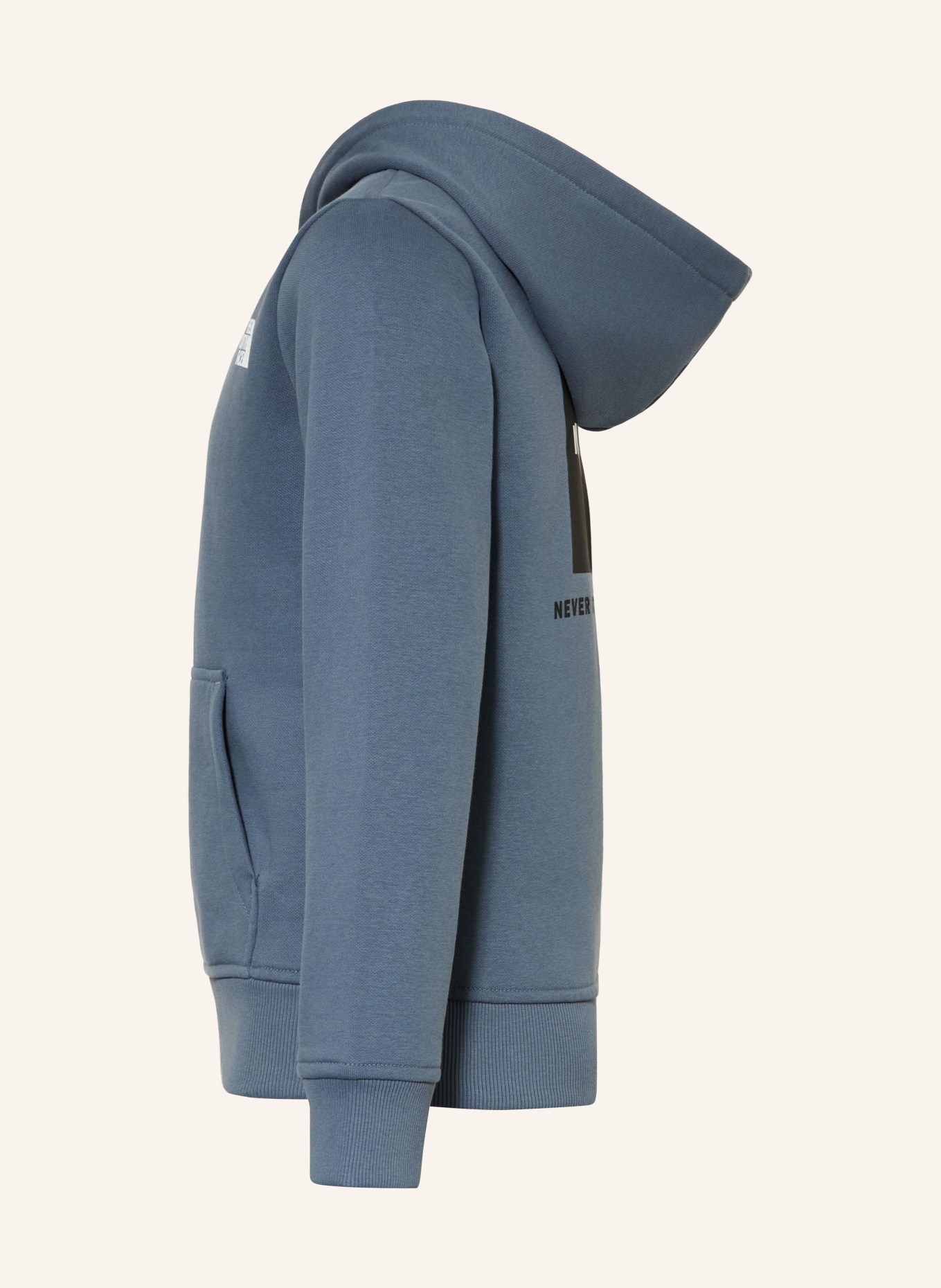 THE NORTH FACE Mikina s kapucí REEN BOX NSE: ČERNOŠEDÁ