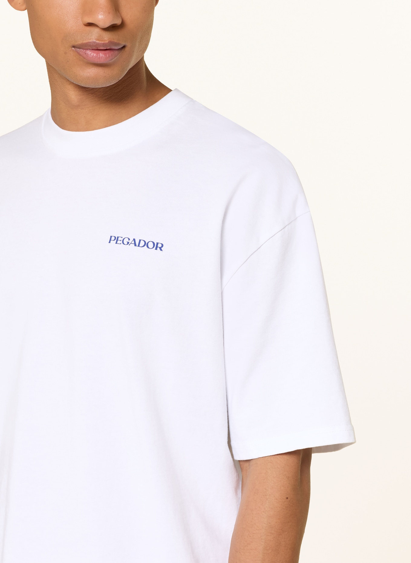 PEGADOR Oversized-Shirt FROMBORK: WEISS / GRÜN / BLAU