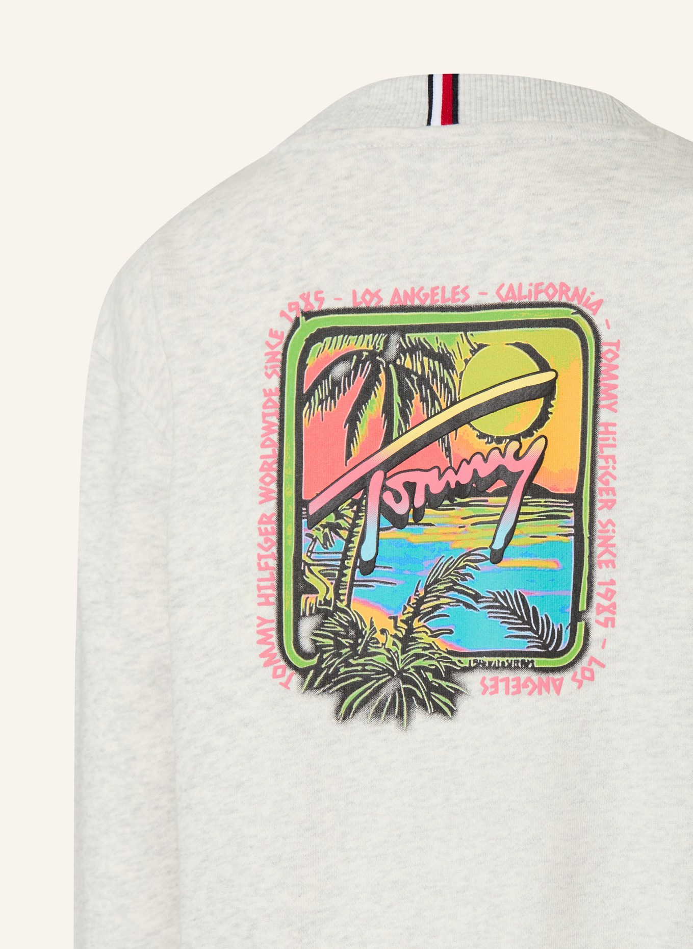TOMMY HILFIGER Sweatshirt: LICHTGRIJS