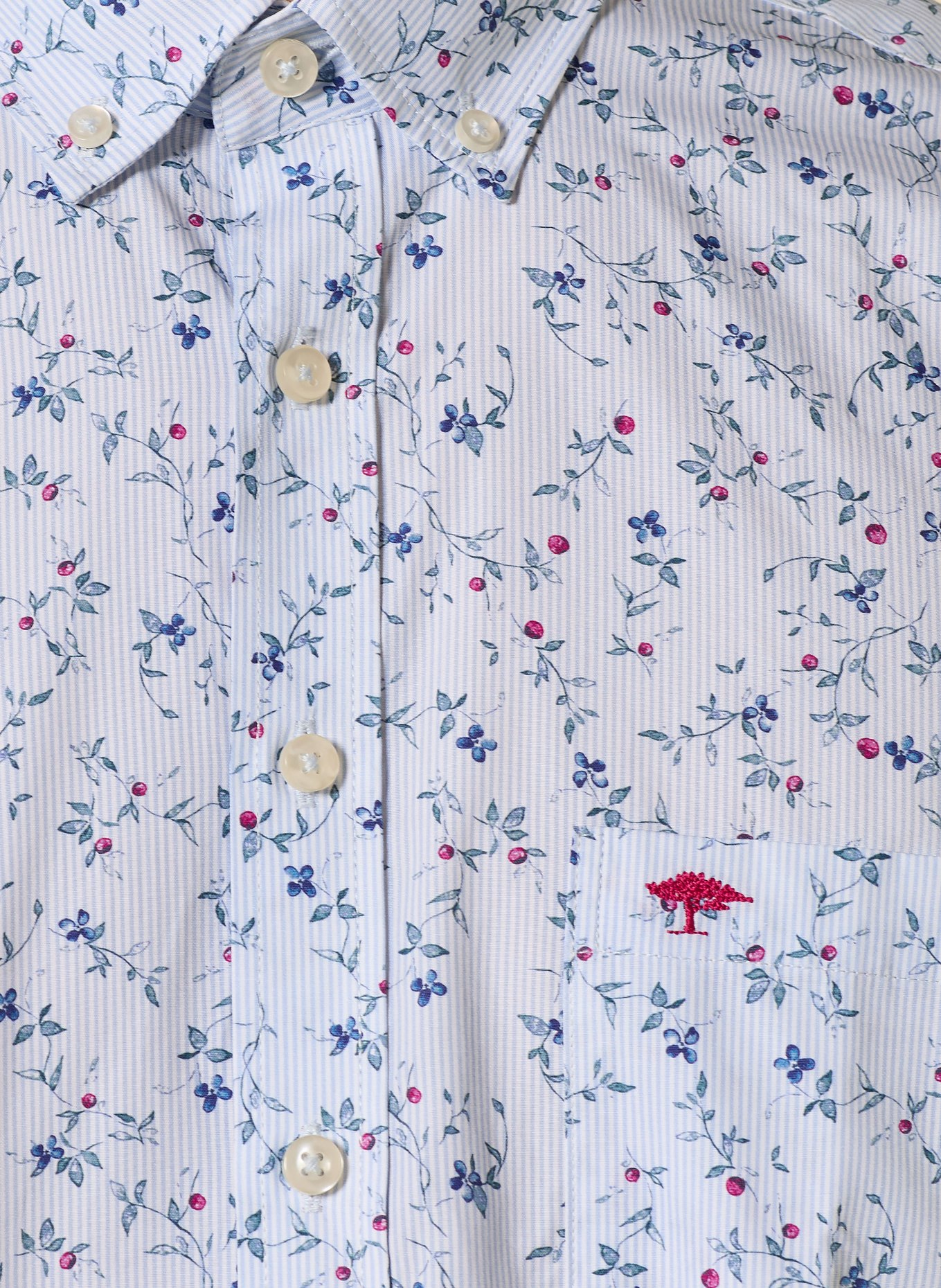 FYNCH-HATTON Chemise coupe classique: BLEU CLAIR / ROUGE / BLEU FONCÉ