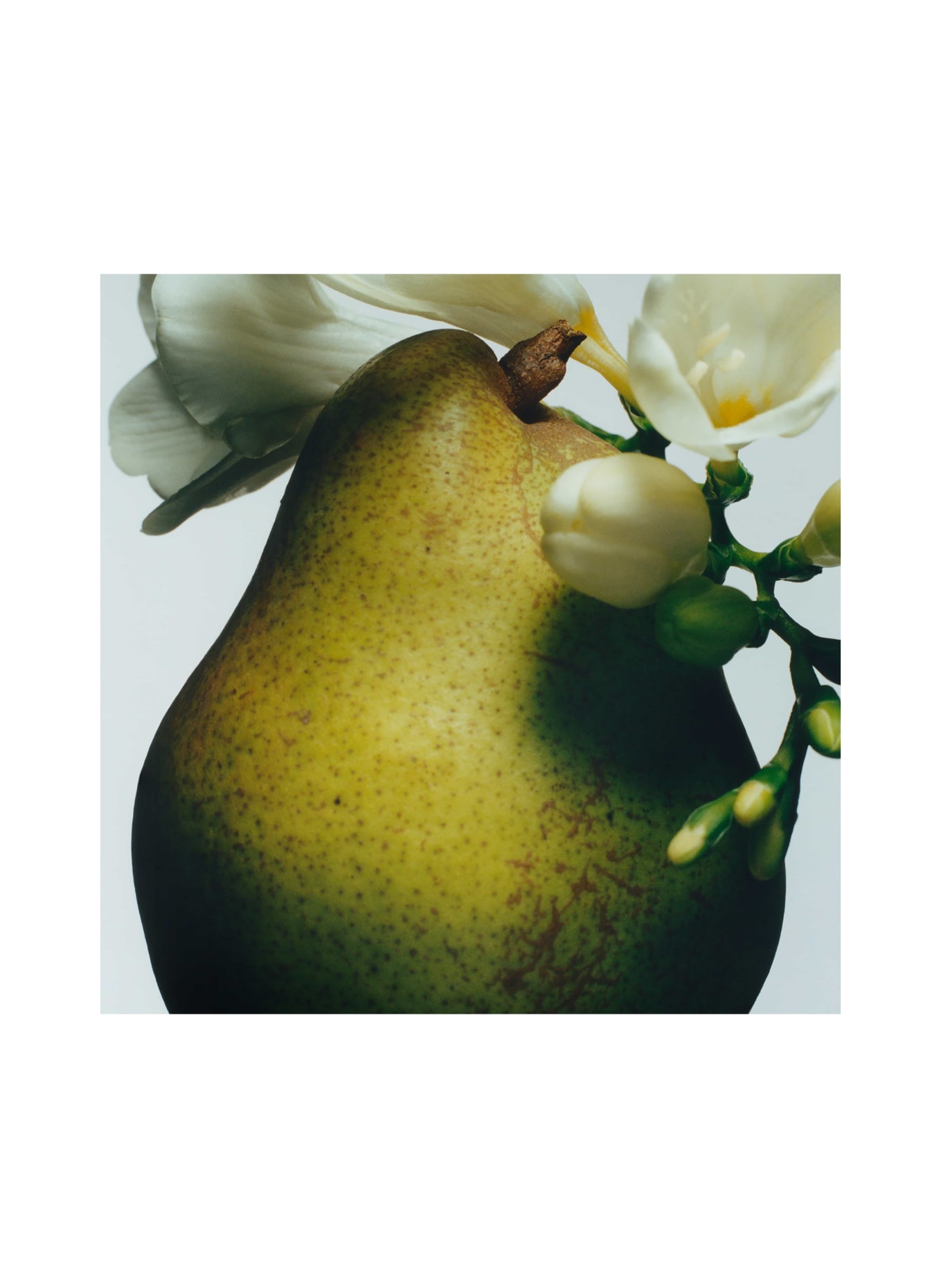 JO MALONE LONDON ENGLISH PEAR & FREESIA MINI ROOM SPRAY