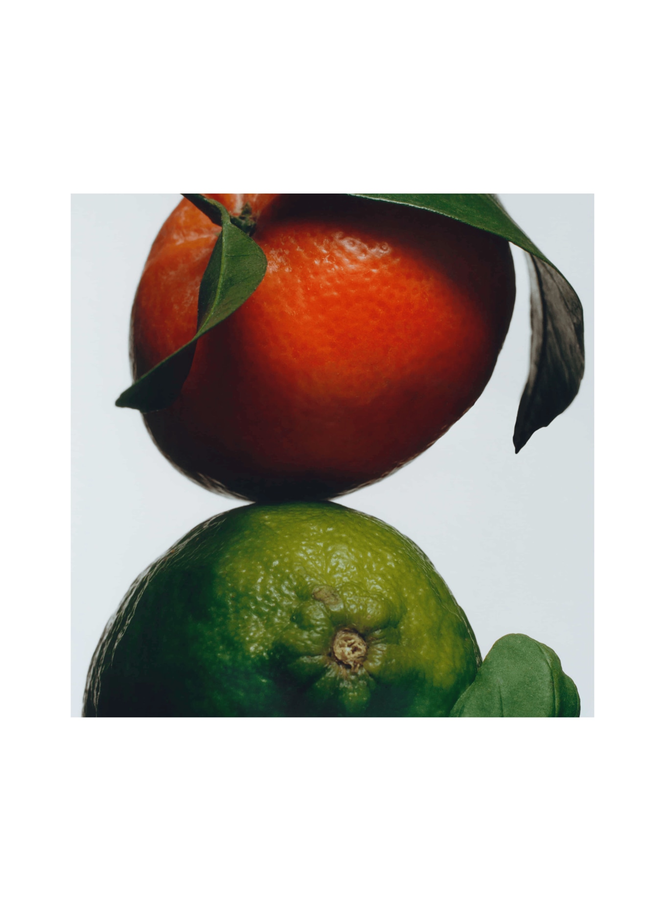 JO MALONE LONDON LIME BASIL & MANDARIN MINI ROOM SPRAY