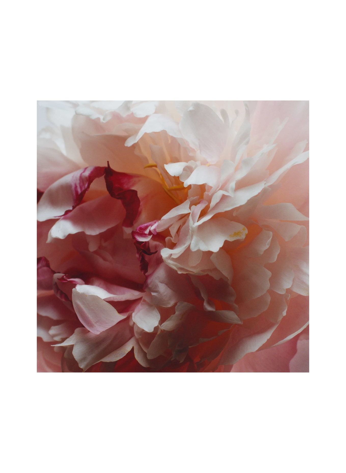 JO MALONE LONDON "	
PEONY & BLUSH SUEDE MINI ROOM SPRAY