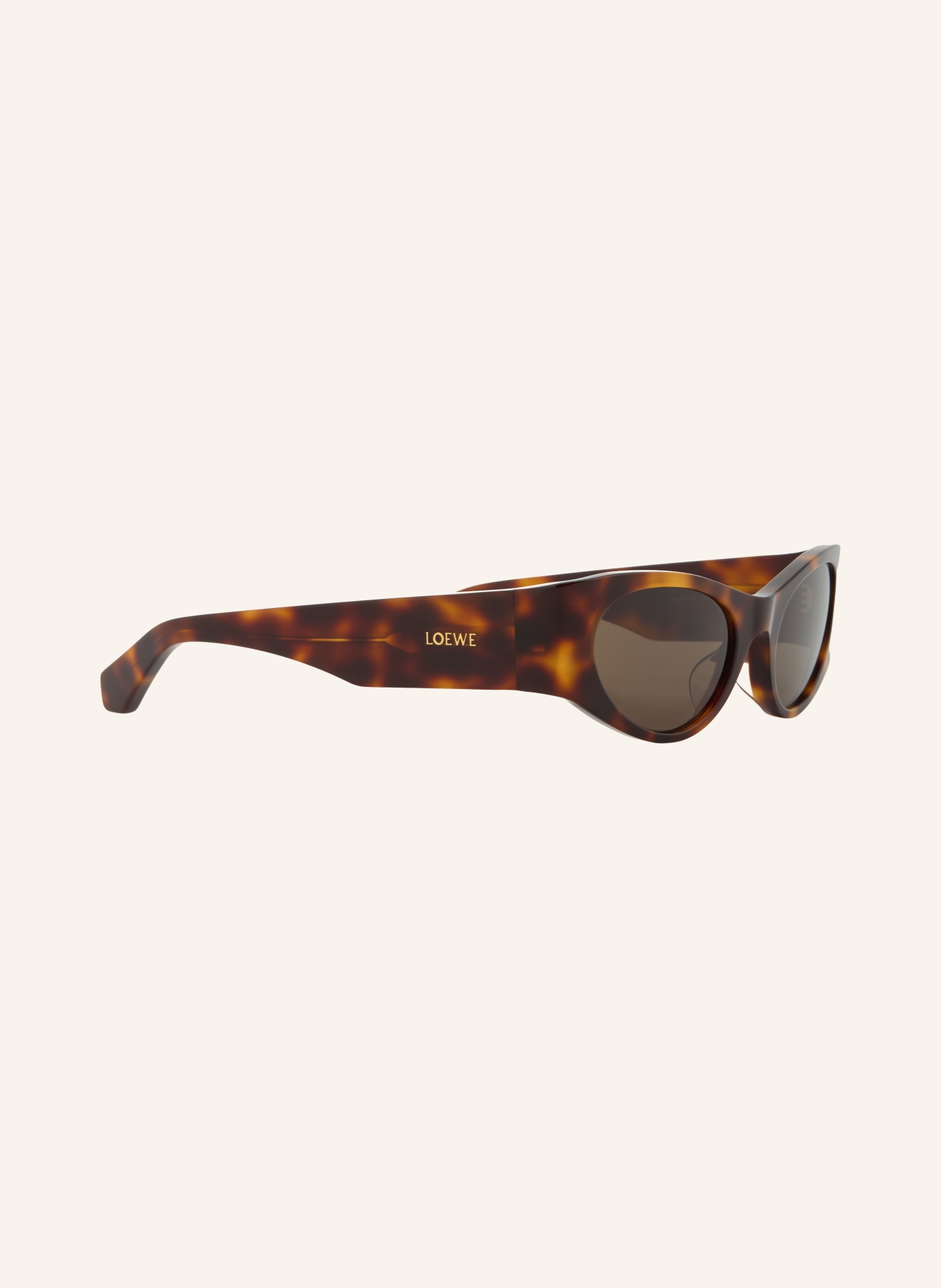 LOEWE Okulary przeciwsłoneczne: HAVANA/ SZARY