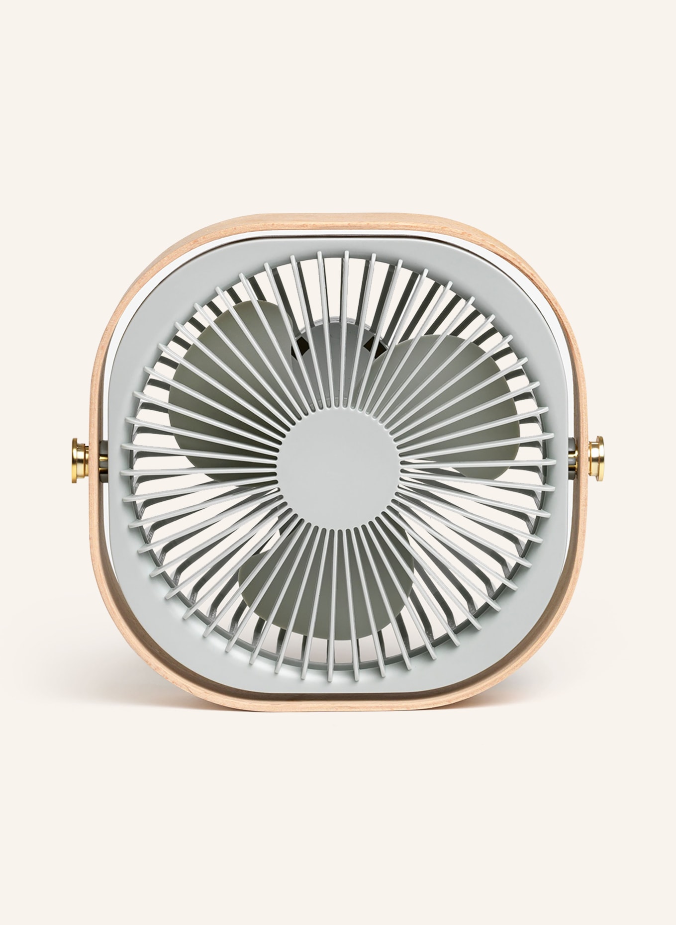 PRINTWORKS Tragbarer Ventilator FANTASTIC: HELLGRÜN / HELLBRAUN