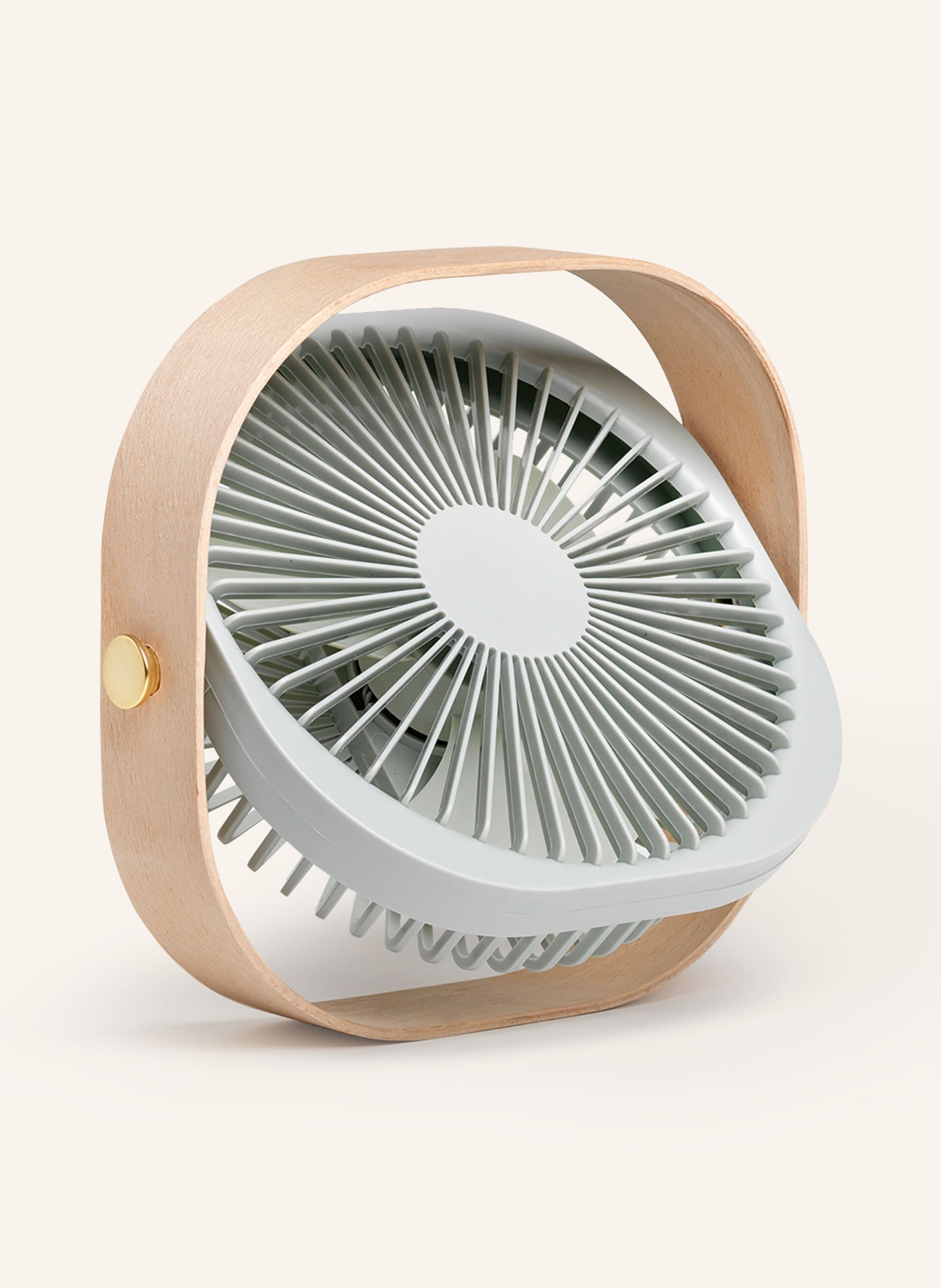 PRINTWORKS Tragbarer Ventilator FANTASTIC: HELLGRÜN / HELLBRAUN