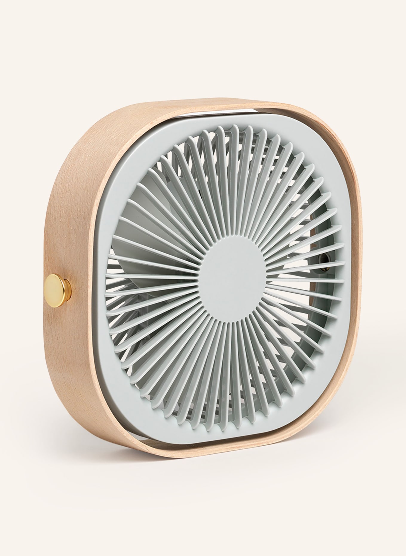 PRINTWORKS Tragbarer Ventilator FANTASTIC: HELLGRÜN / HELLBRAUN