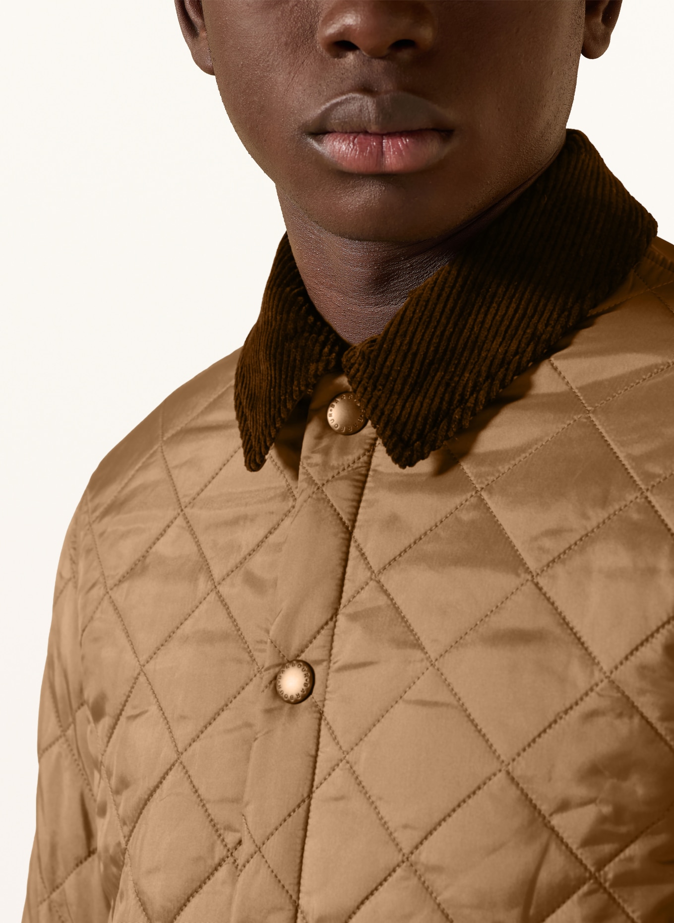 Barbour Steppjacke: HELLBRAUN / DUNKELBRAUN
