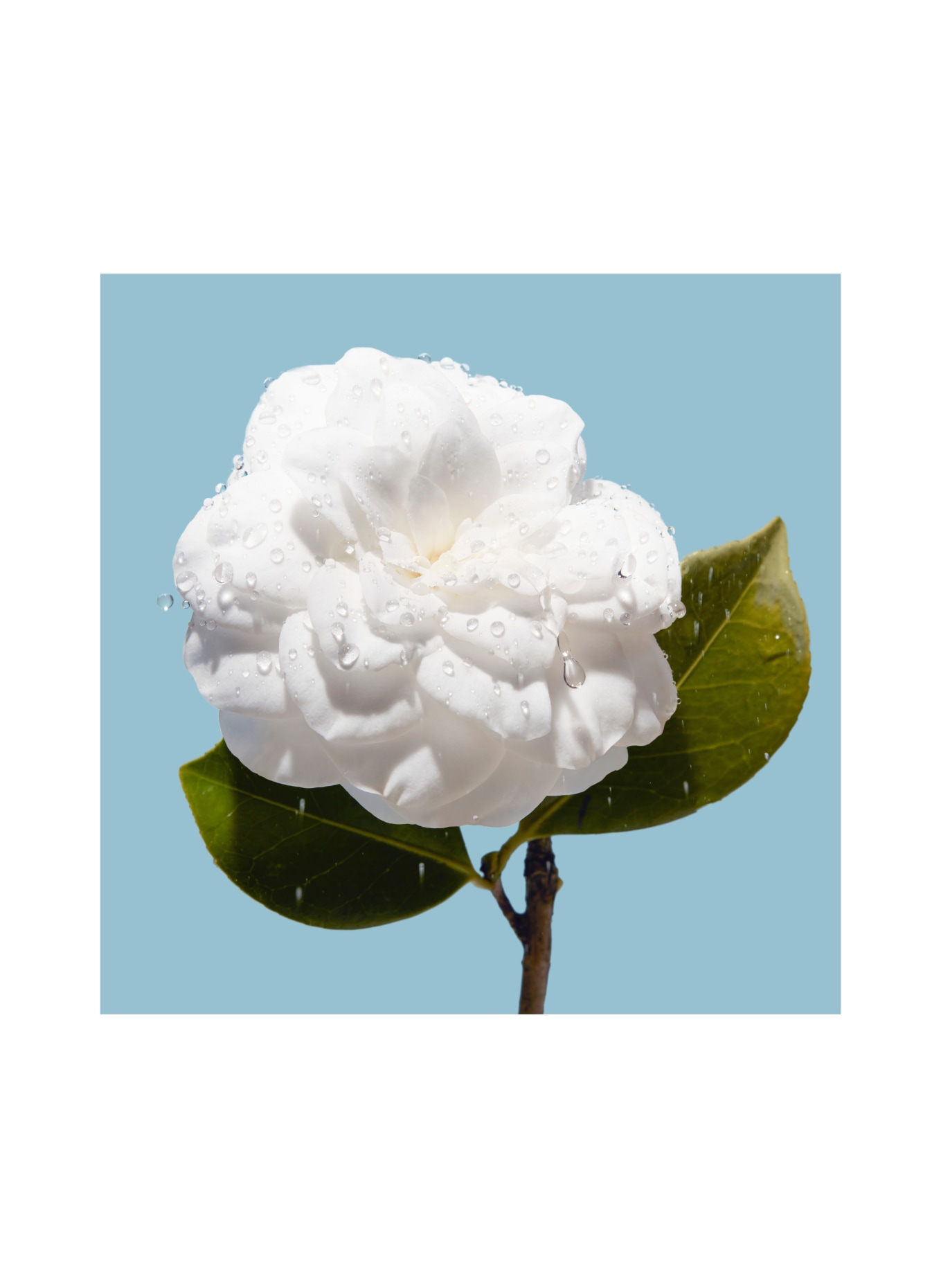 CHANEL HYDRA BEAUTY MICRO SÉRUM LÈVRES: FRAIS