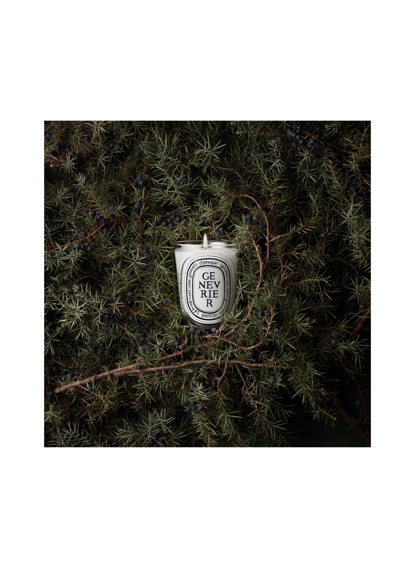diptyque GENEVRIER