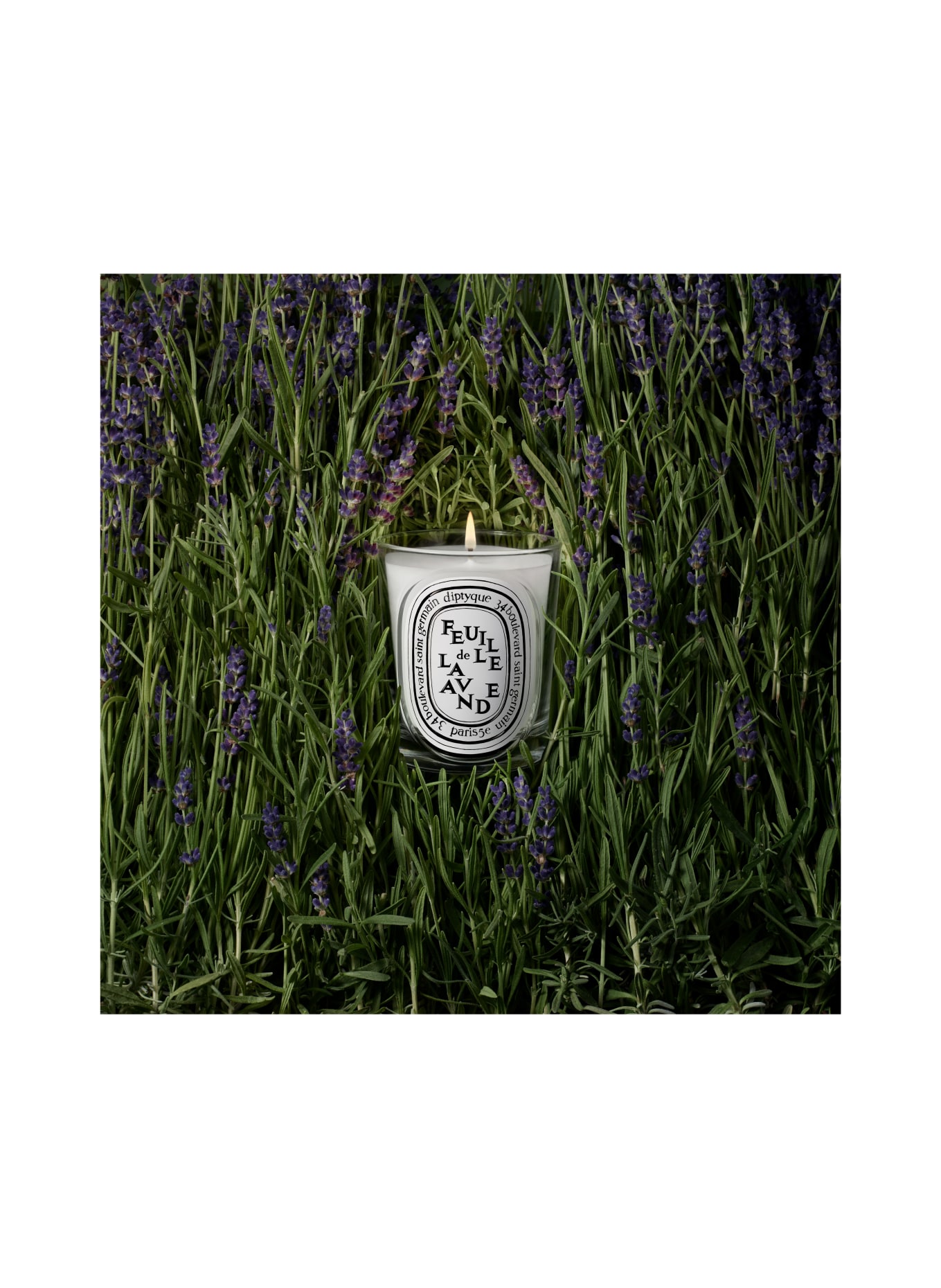 diptyque FEUILLE DE LAVANDE