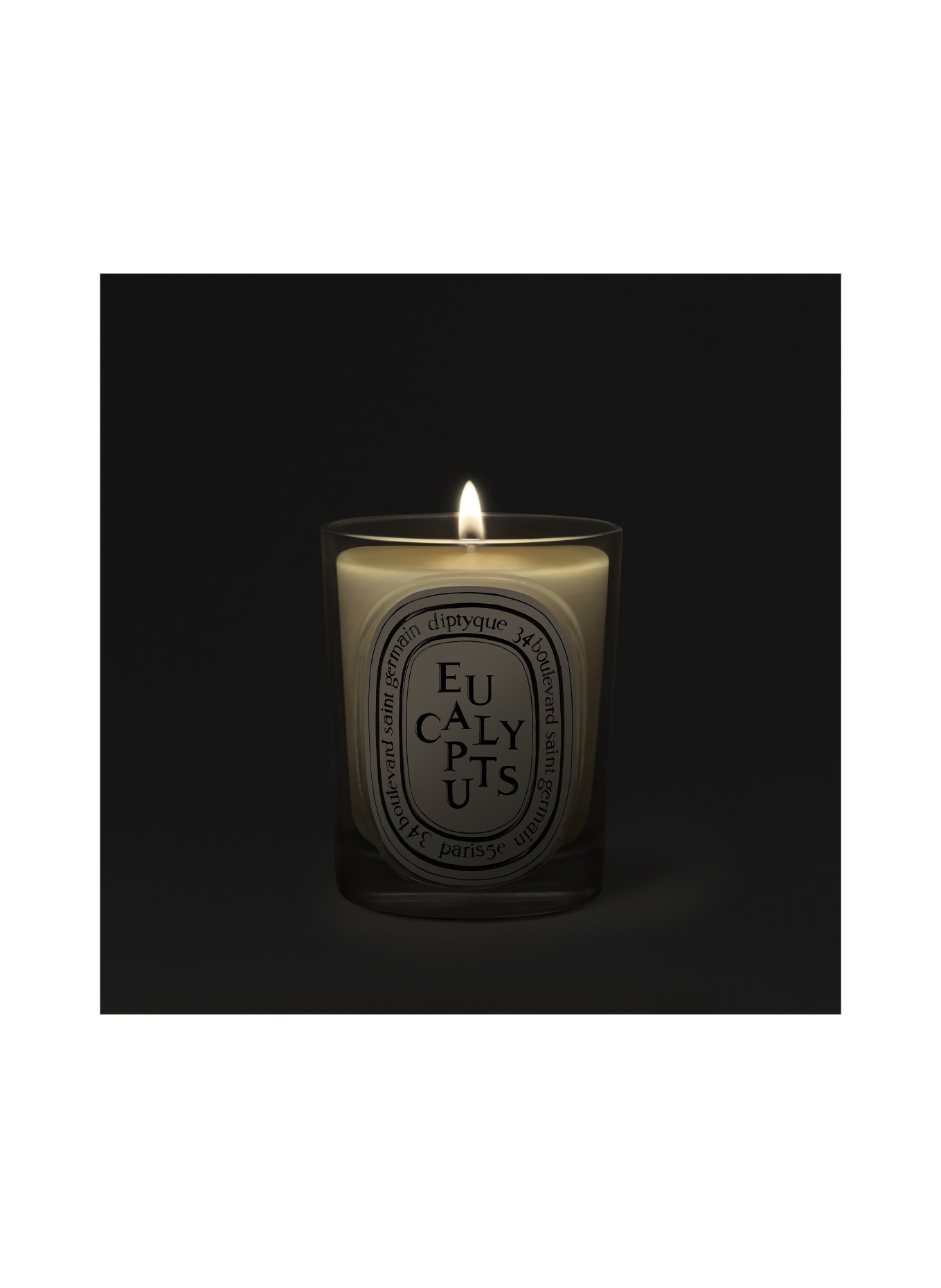 diptyque EUCALYPTUS