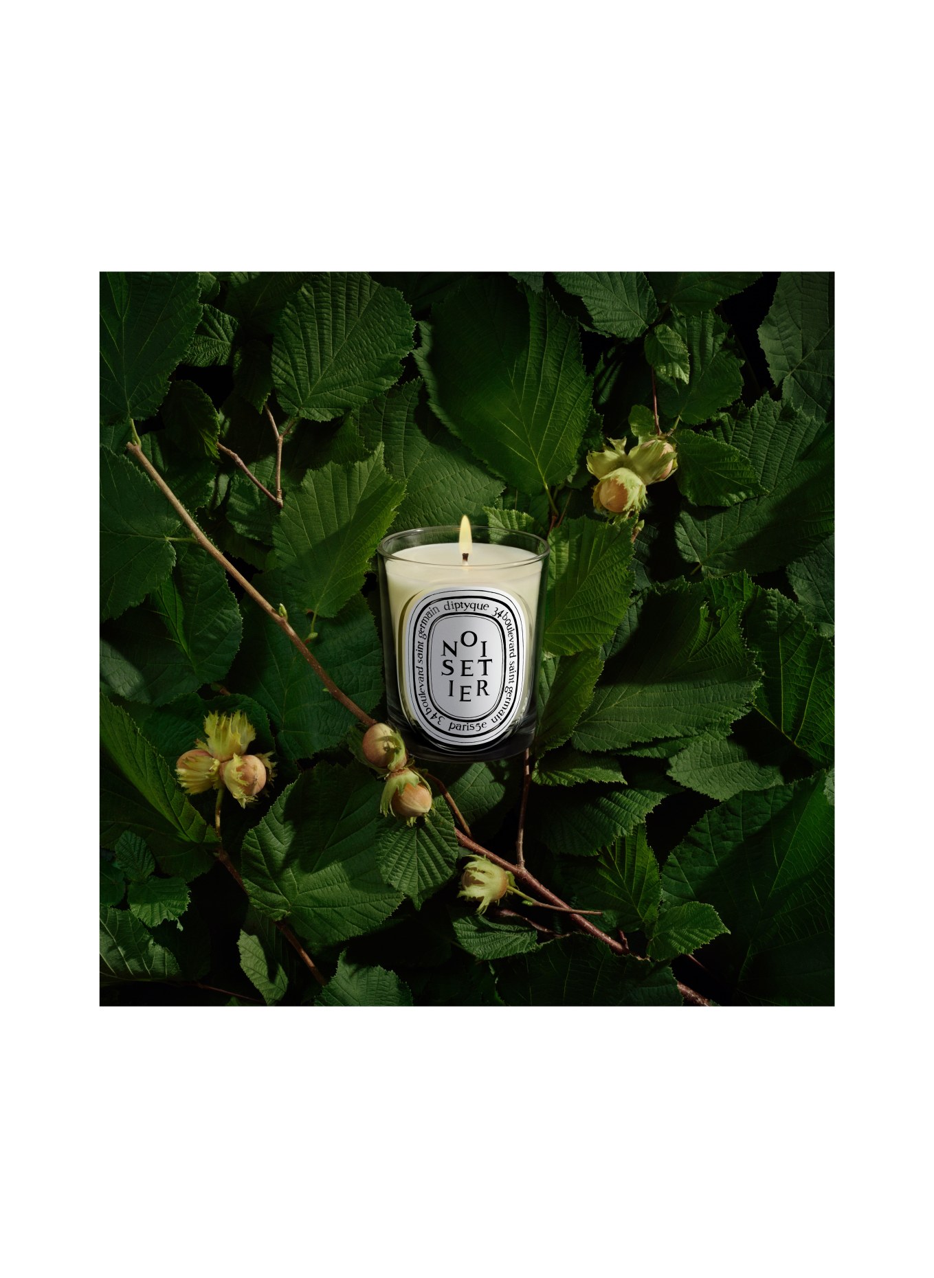 diptyque NOISETIER