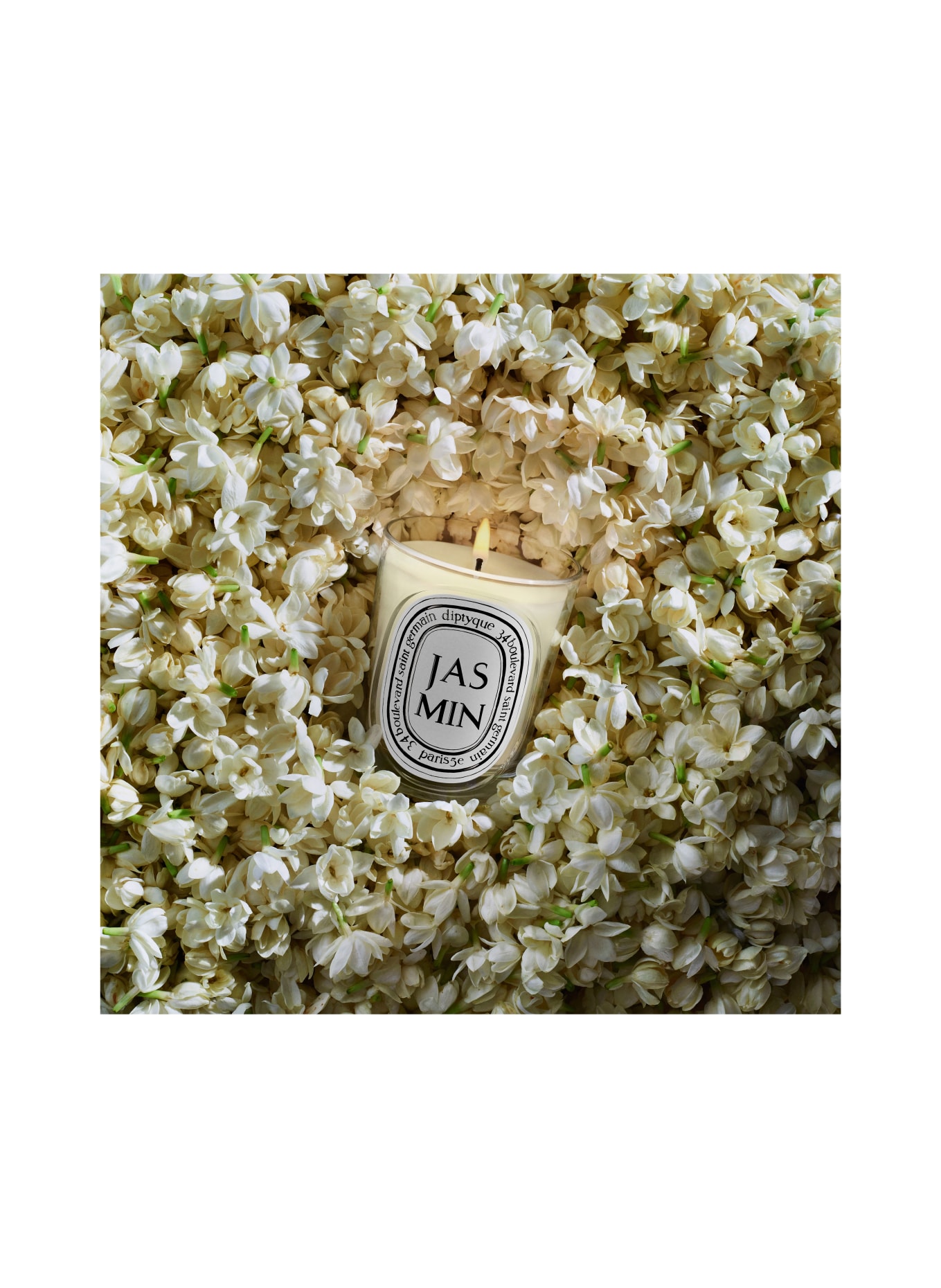 diptyque JASMIN