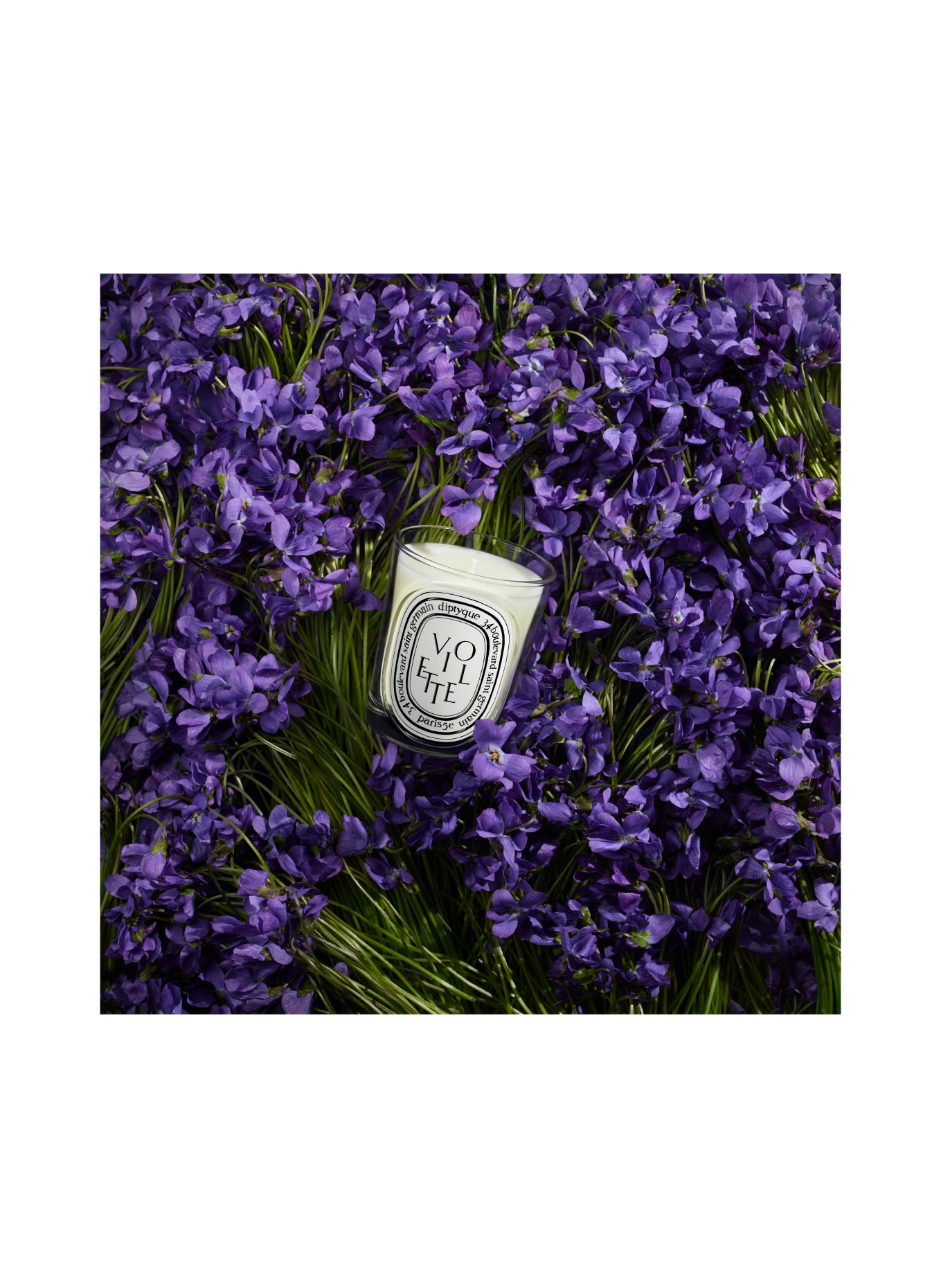 diptyque VIOLETTE