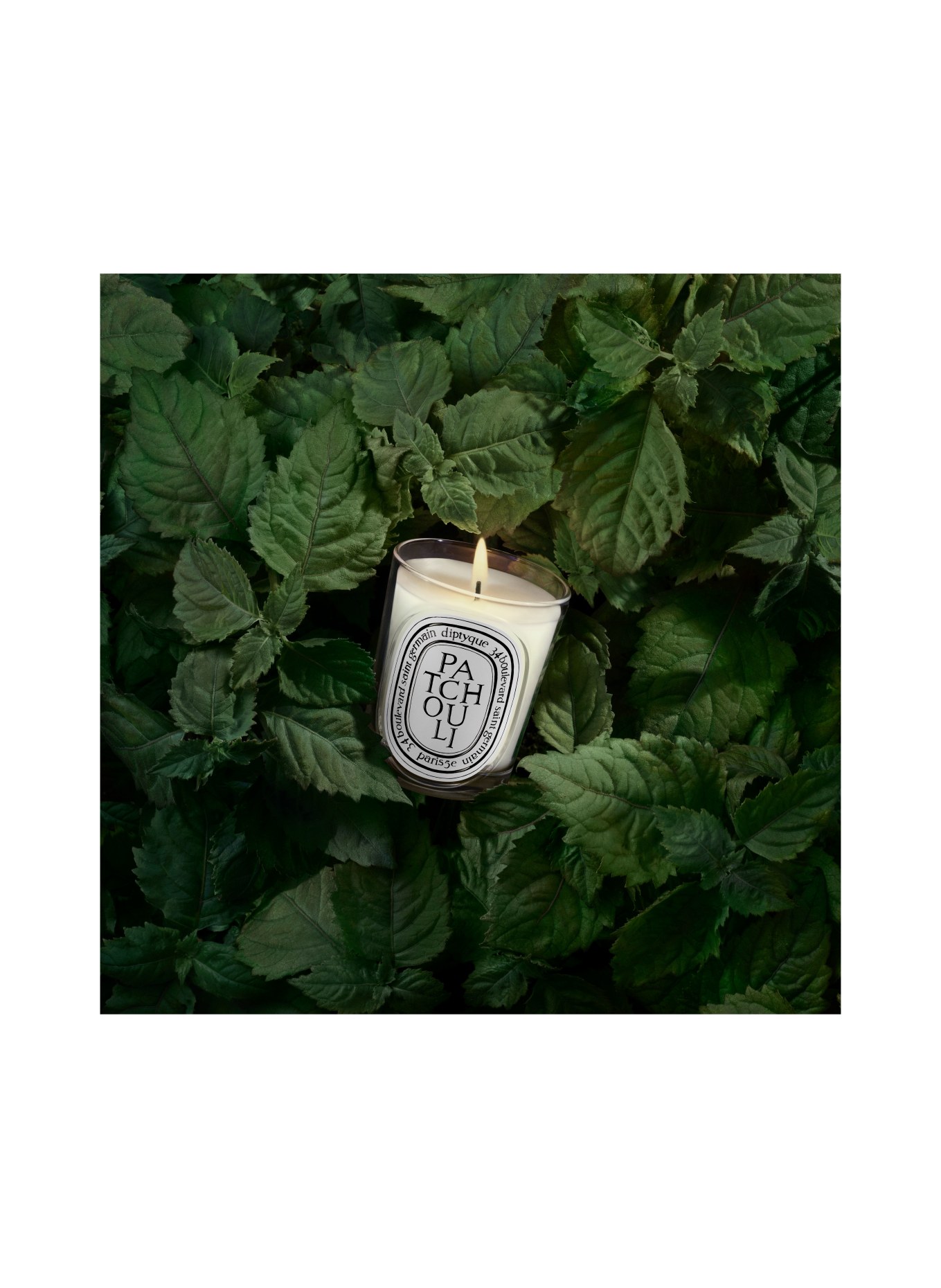 diptyque PATCHOULI