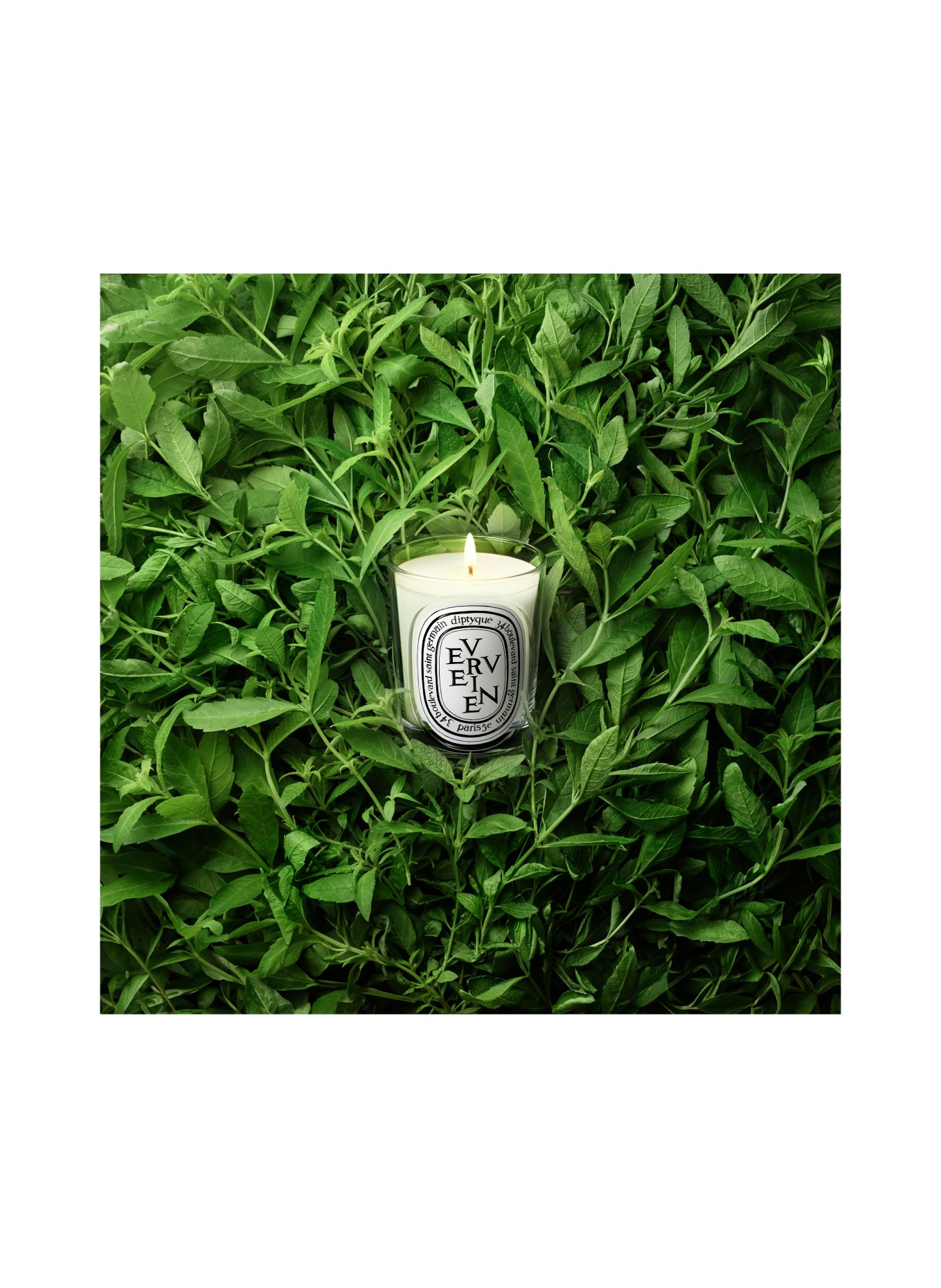diptyque VERVEINE