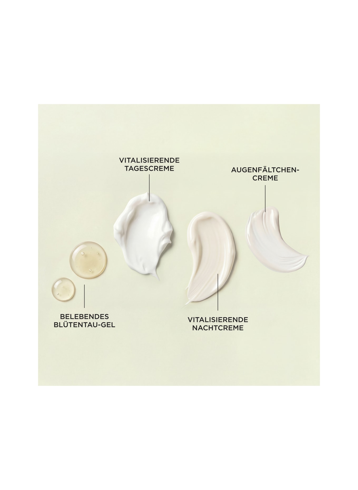 ANNEMARIE BÖRLIND LL REGENERATION SYSTEM VITALITY