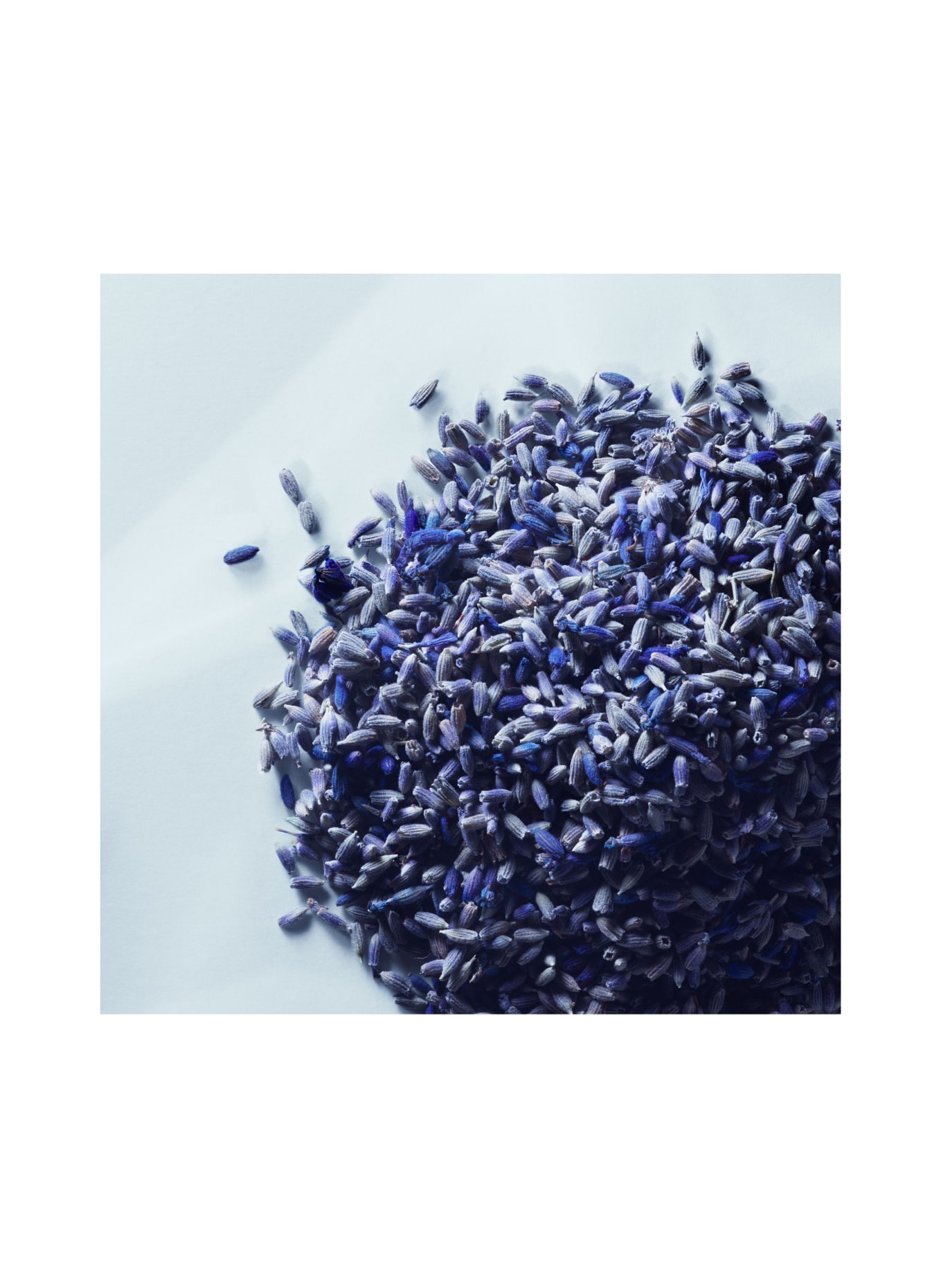 MATIERE PREMIERE METAL LAVENDER