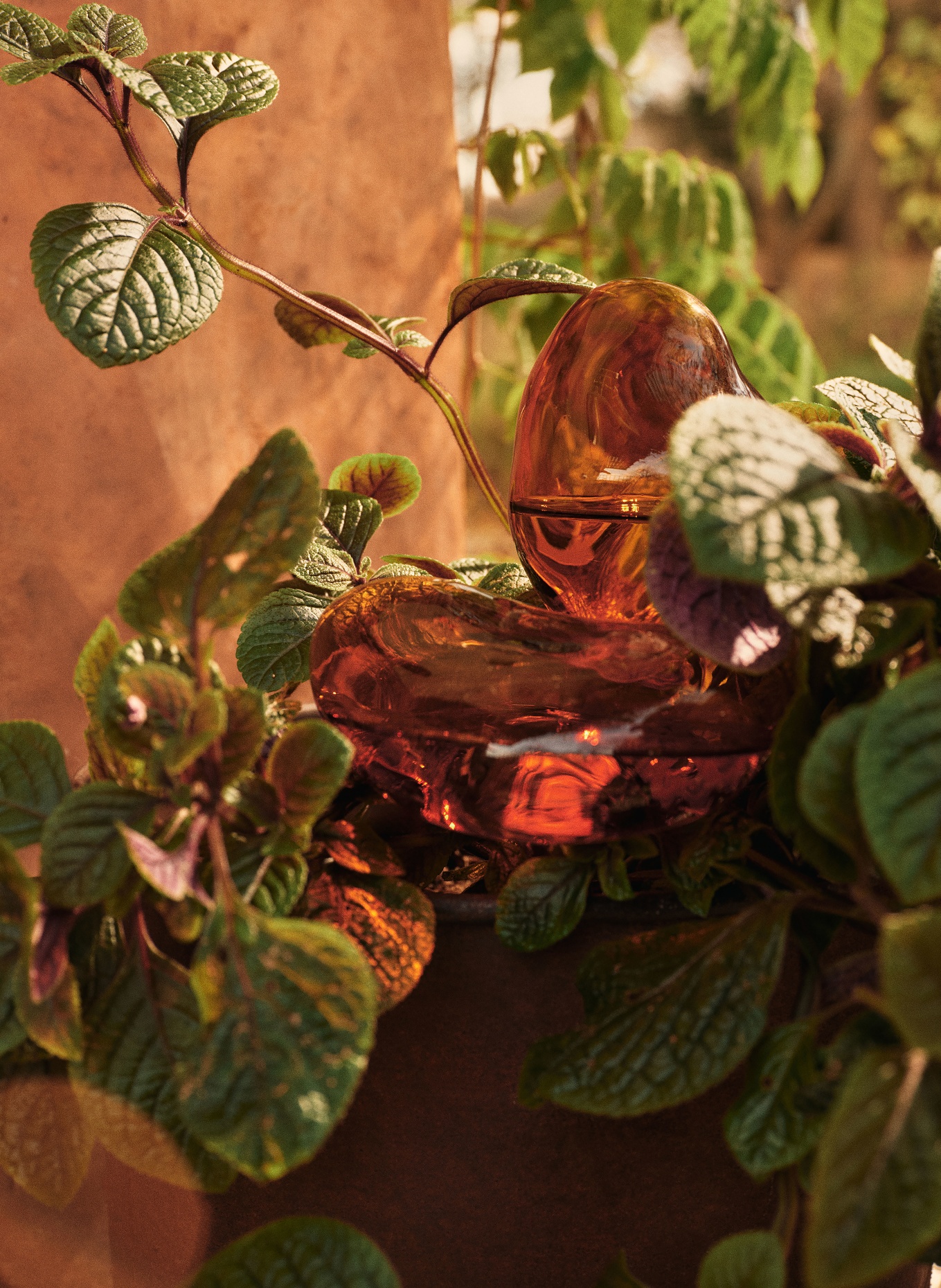 Ferm LIVING 2er-Set Bewässerungskugeln MERCURY: BRAUN