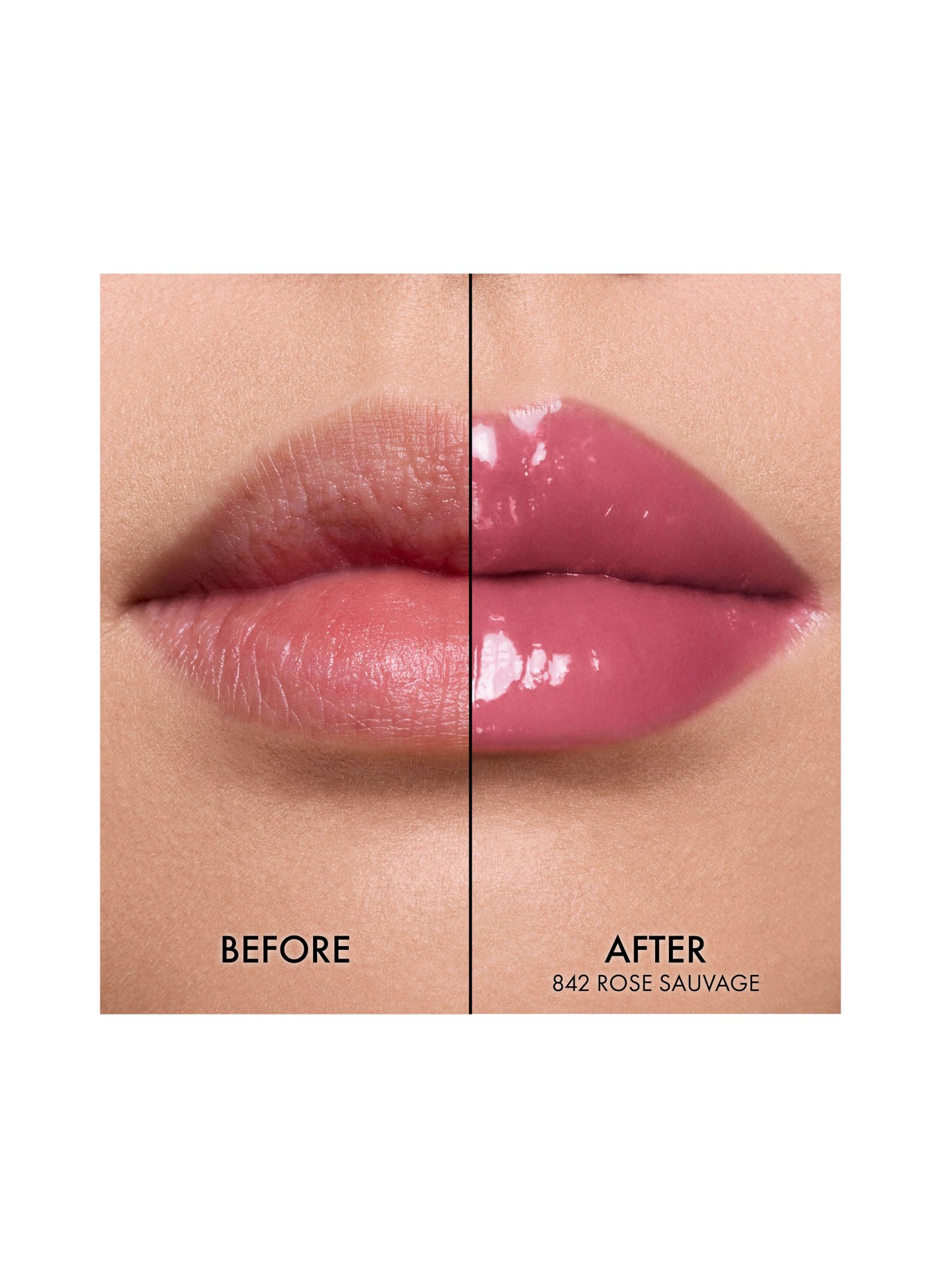 DIOR DIOR ADDICT GLASS LIPSTICK: 842 ROSE SAUVAGE