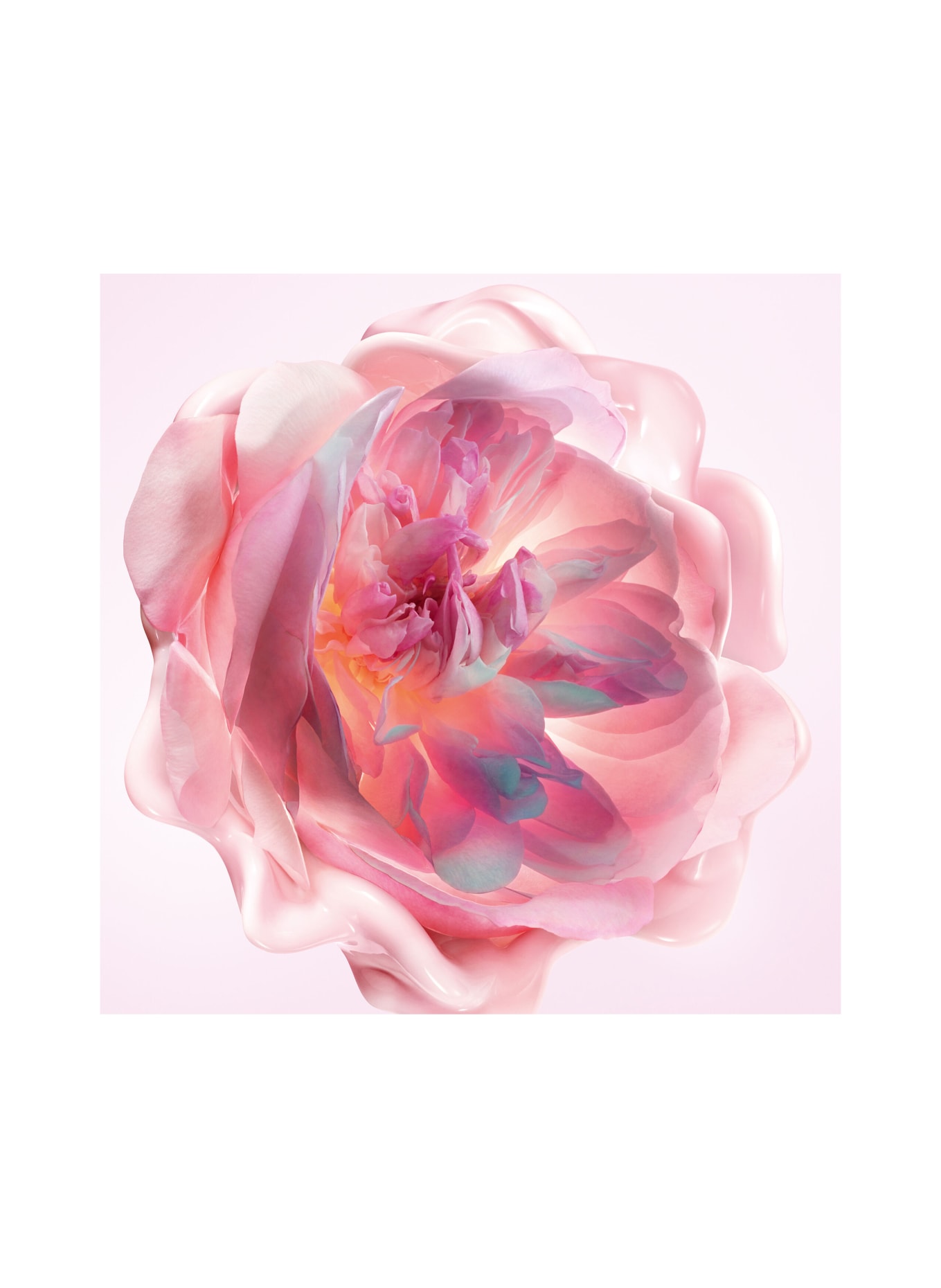 DIOR MISS DIOR MELD - IN HANDCREME