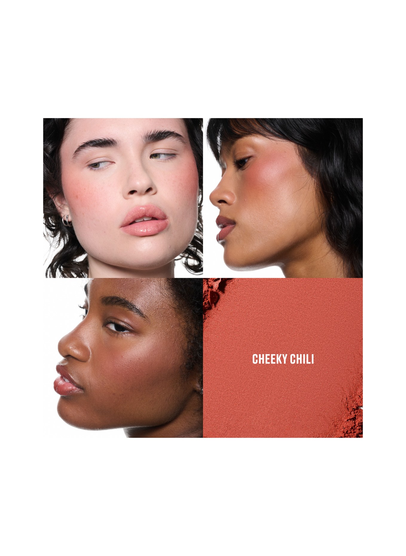 M.A.C SKINFINISH COLOURSTRUCK BLUSH: CHEEKY CHILI