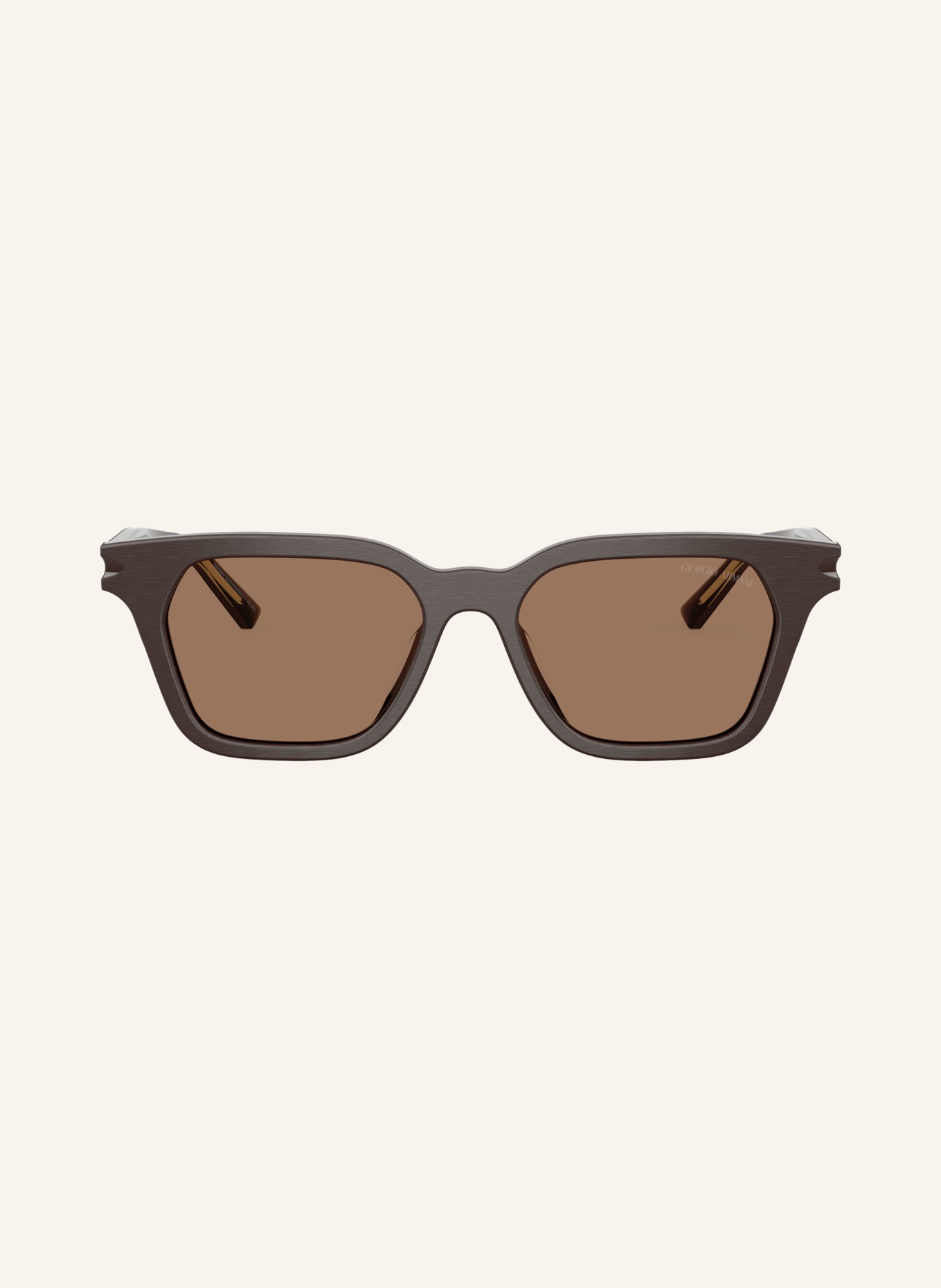 GIORGIO ARMANI Sunglasses AR8251U: BROWN/ BROWN