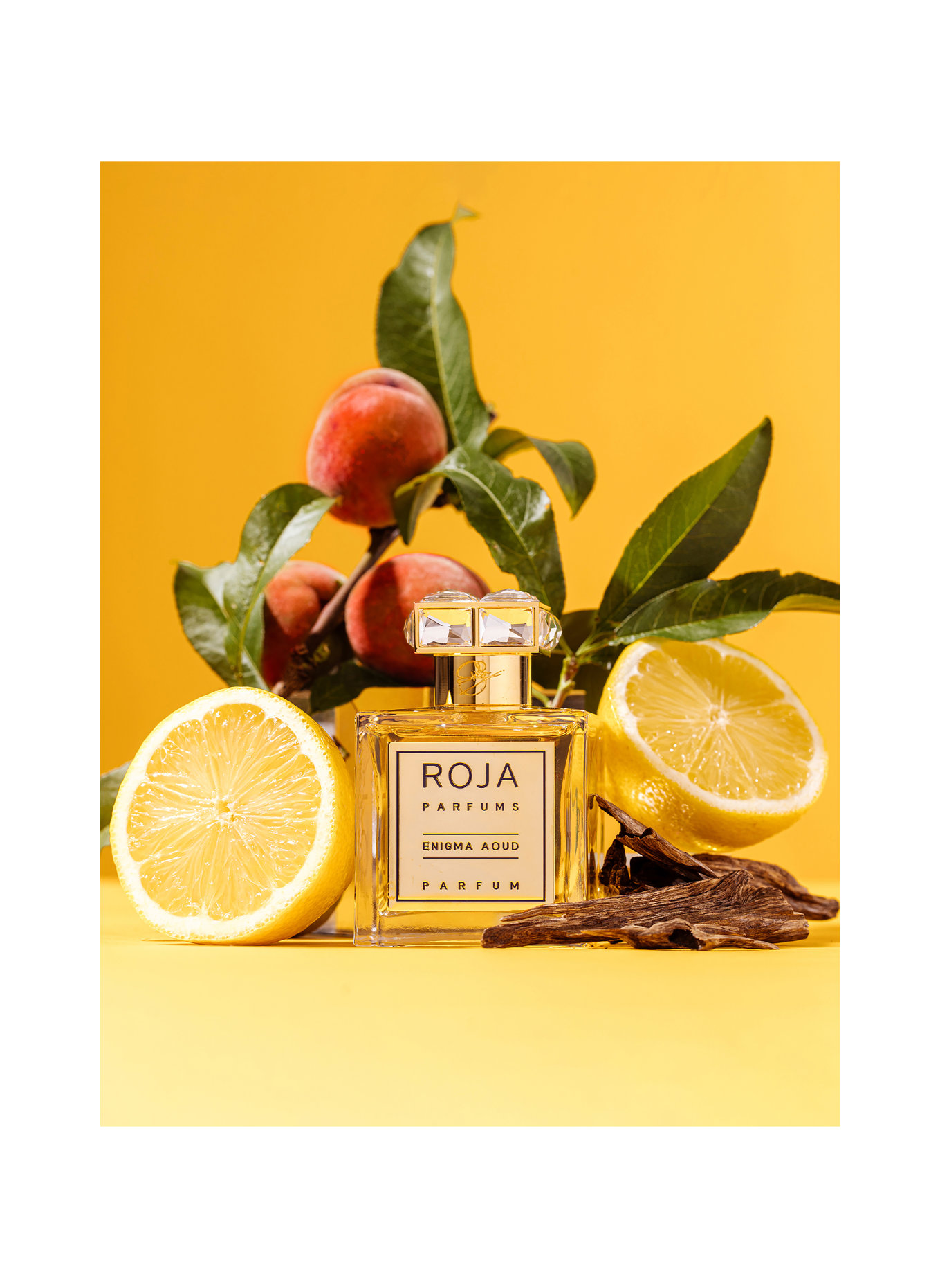 ROJA London ENIGMA AOUD