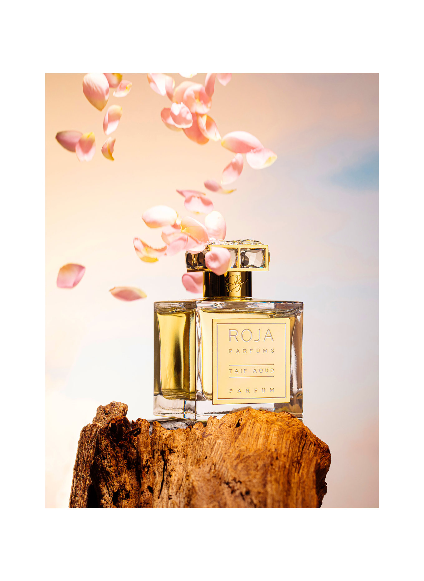 ROJA London TAIF AOUD