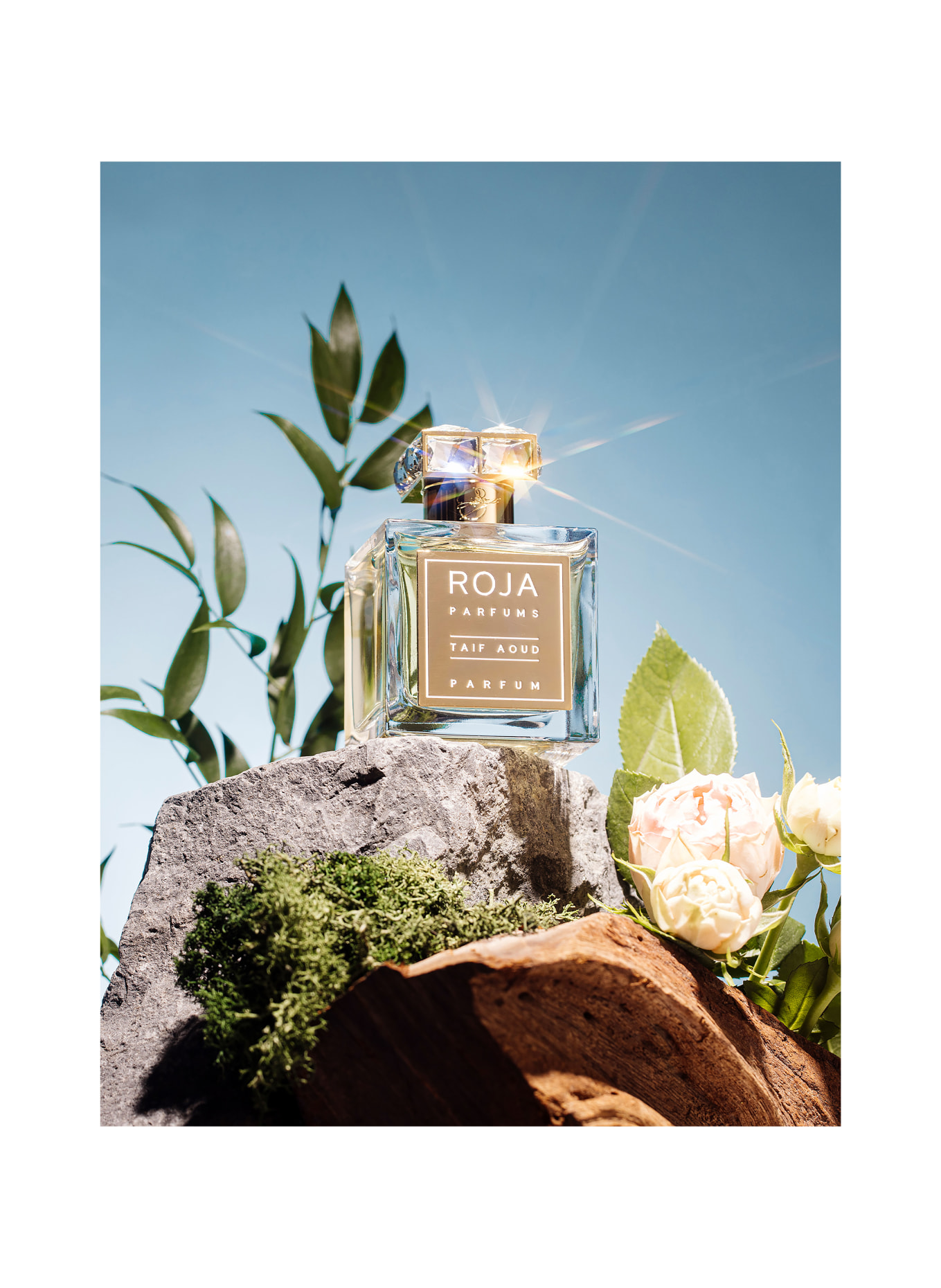 ROJA London TAIF AOUD