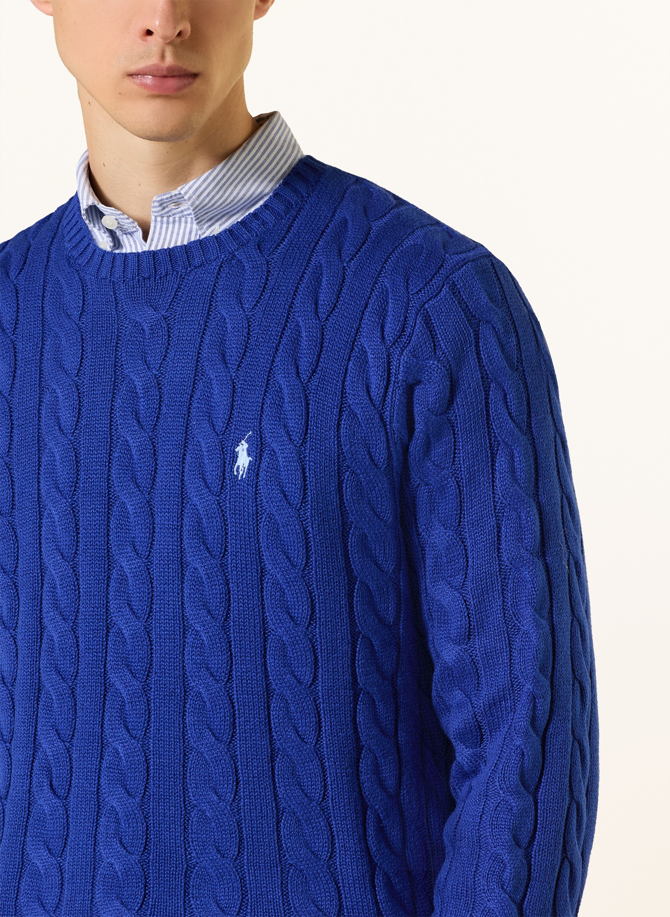 POLO RALPH LAUREN Pullover: BLAU