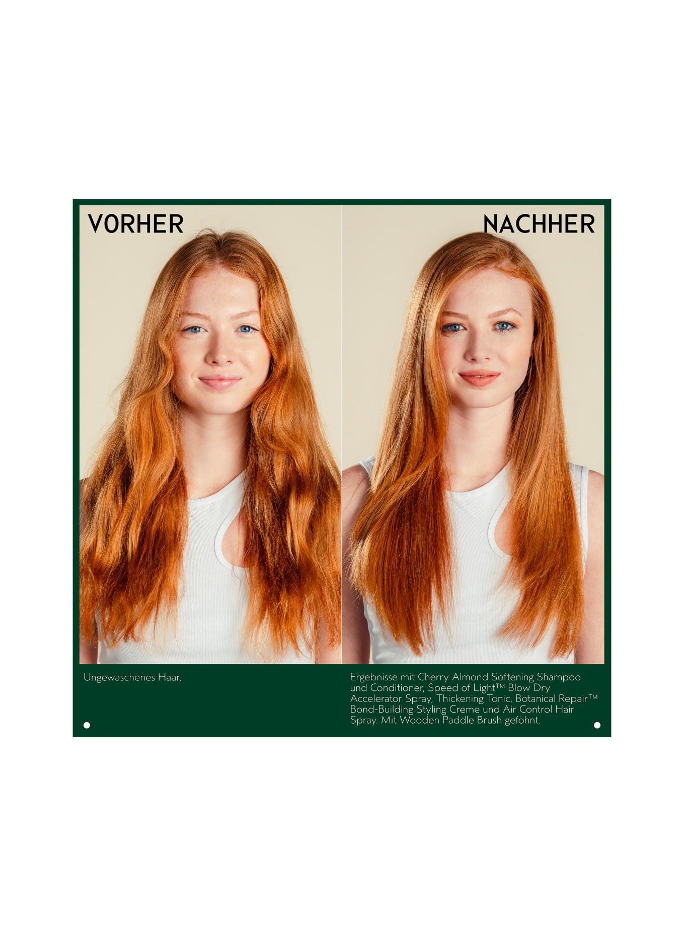 AVEDA BOTANICAL REPAIR