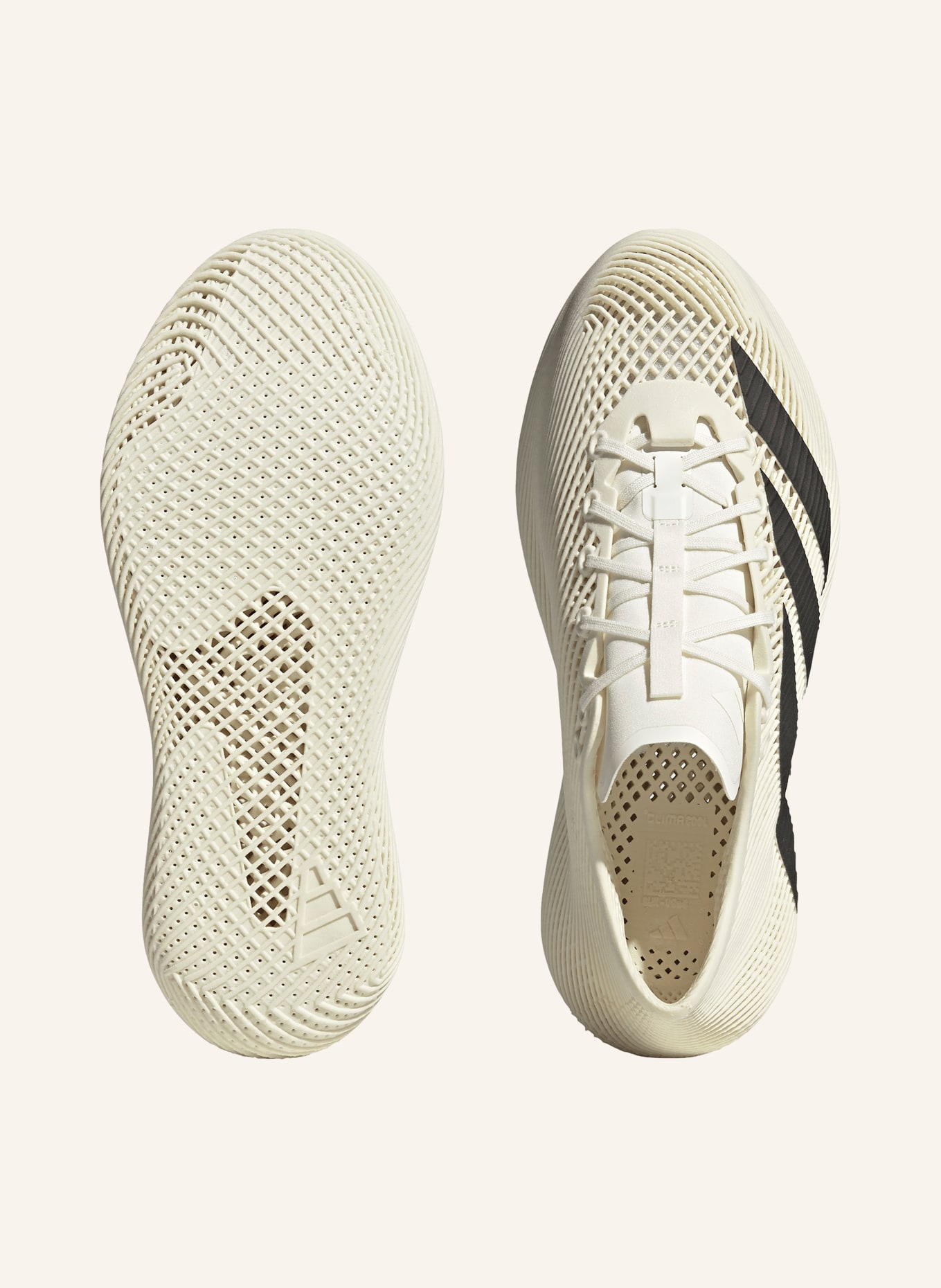 adidas Sneaker CLIMACOOL LACED: CREME / SCHWARZ