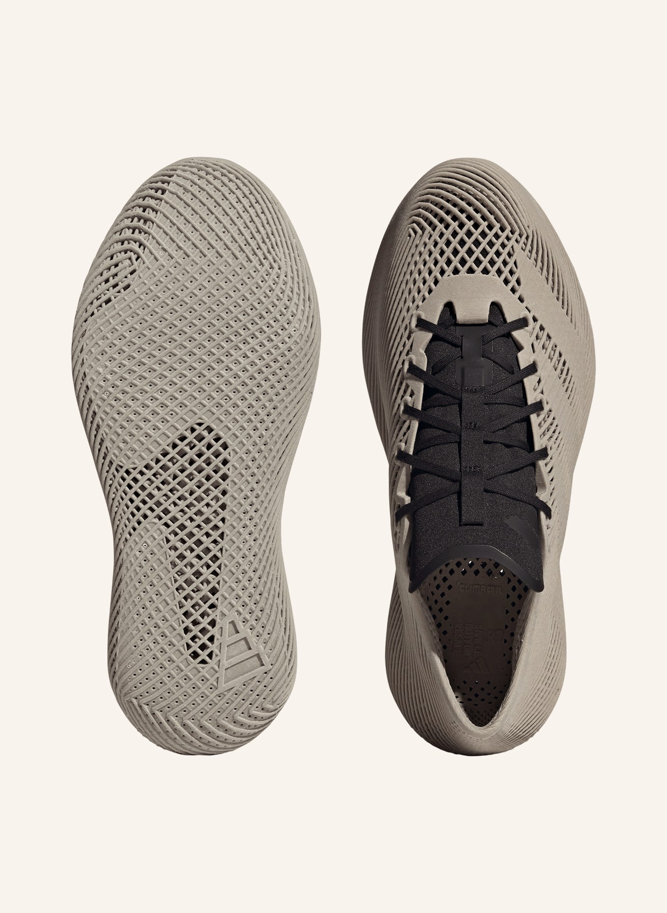 adidas Sneaker CLIMACOOL LACED: BEIGE / SCHWARZ