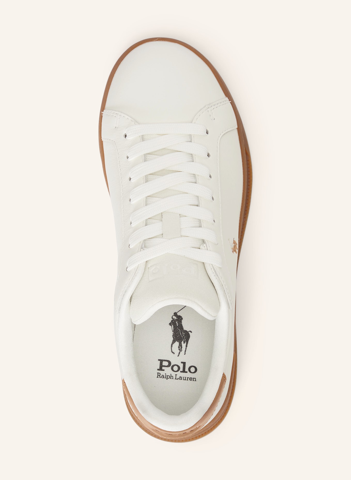 POLO RALPH LAUREN Baskets: BLANC / CHAMEAU