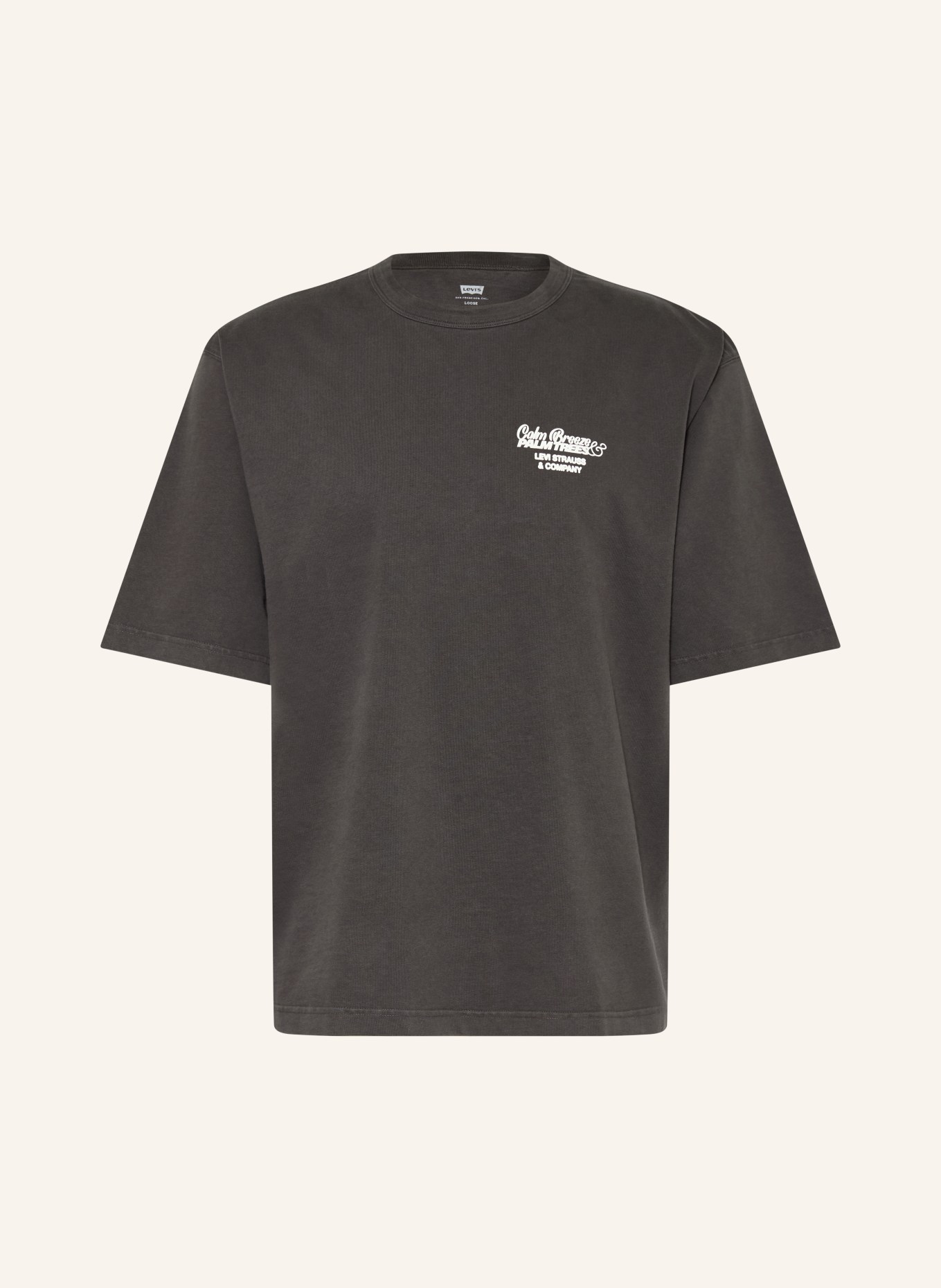 Levi's® T-shirt: DARK GRAY / WHITE