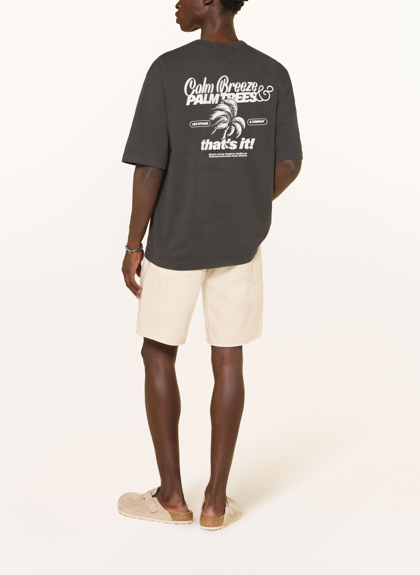 Levi's® T-shirt: DARK GRAY / WHITE