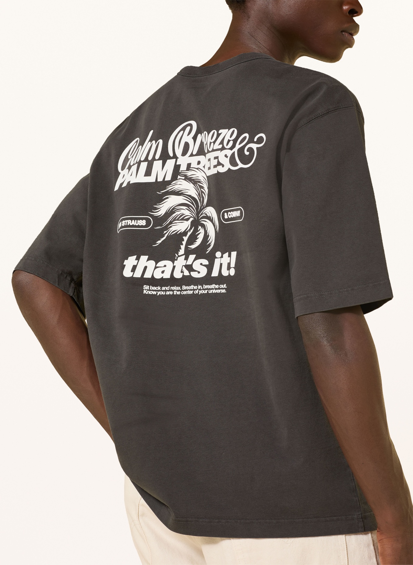 Levi's® T-shirt: DARK GRAY / WHITE