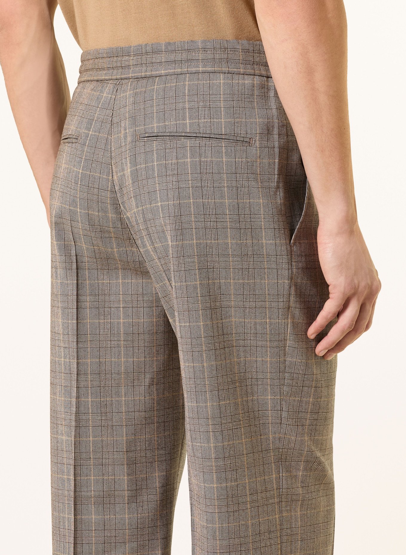 TIGER OF SWEDEN Hose ISCOVE im Jogging-Stil Regular Fit: HELLBRAUN / BRAUN