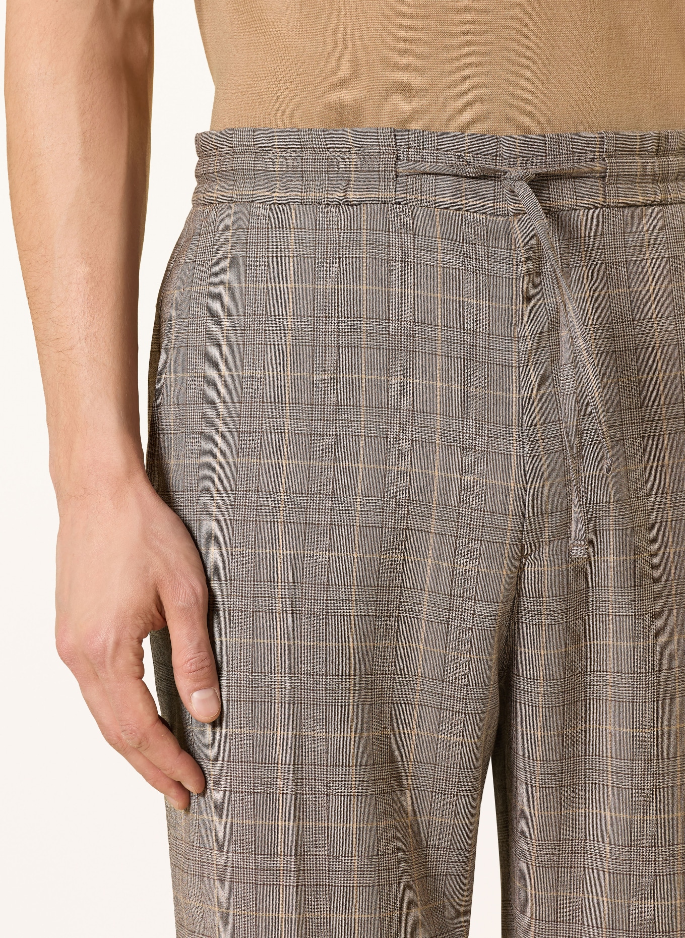 TIGER OF SWEDEN Hose ISCOVE im Jogging-Stil Regular Fit: HELLBRAUN / BRAUN