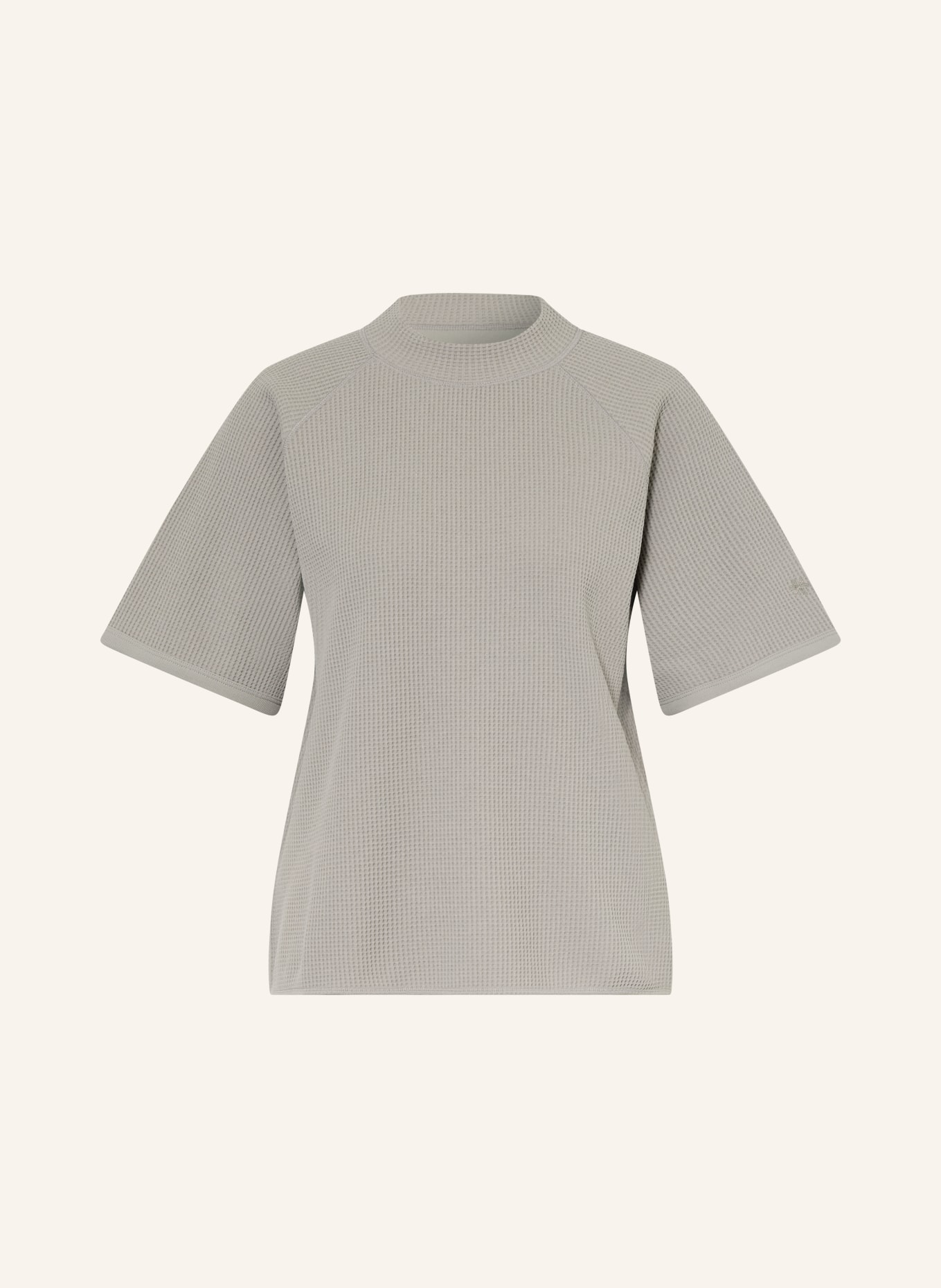 Goldwin T-Shirt: GRAU