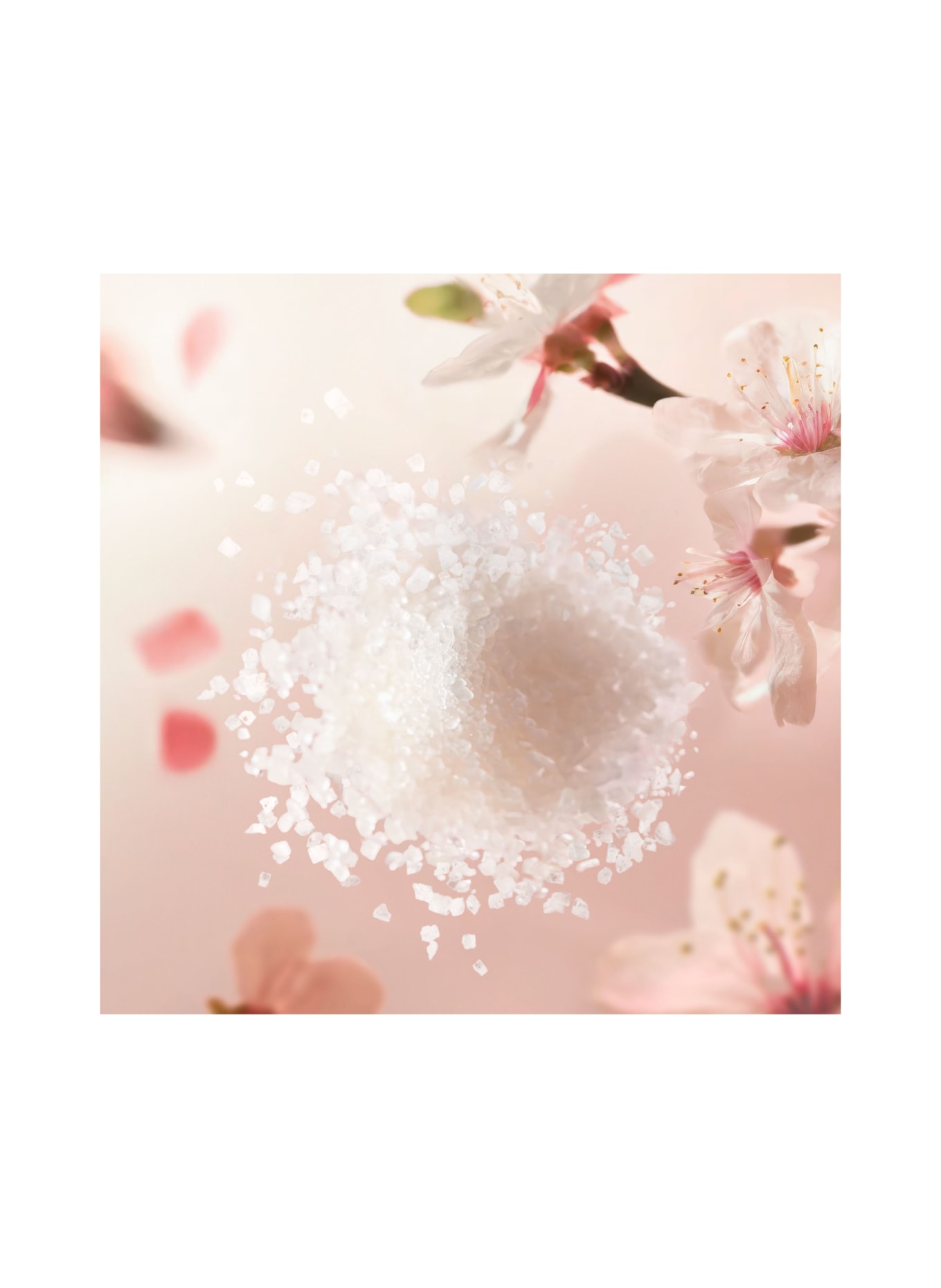 RITUALS THE RITUAL OF SAKURA